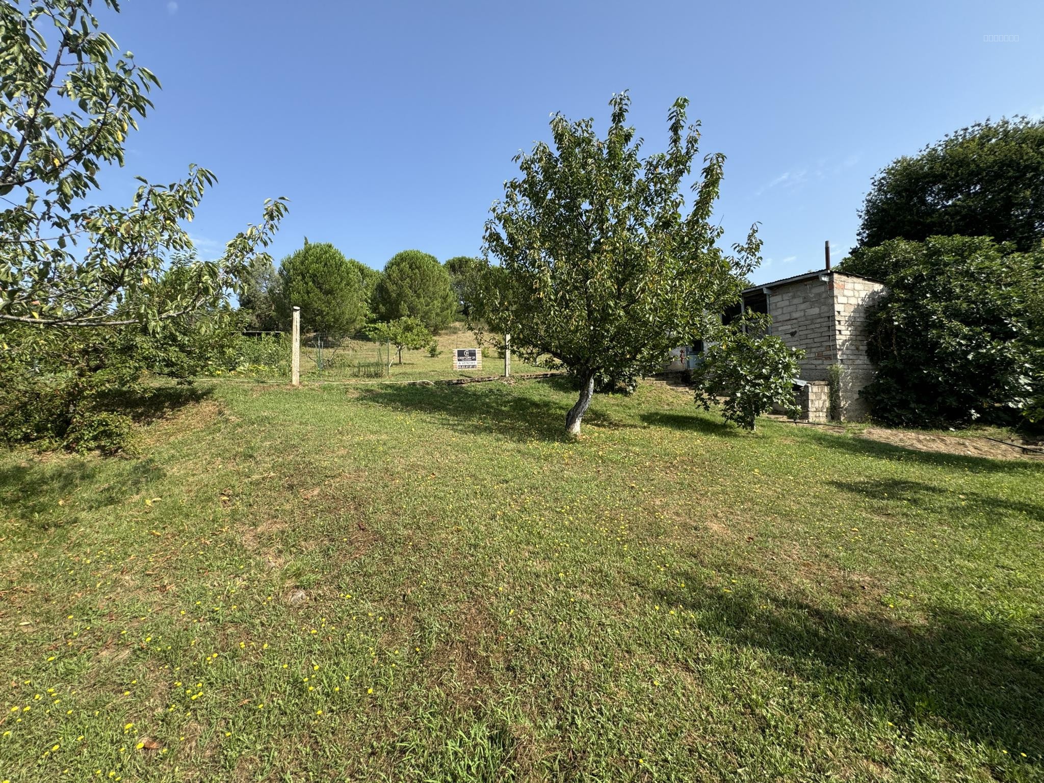 terrain Arthes — photo 5