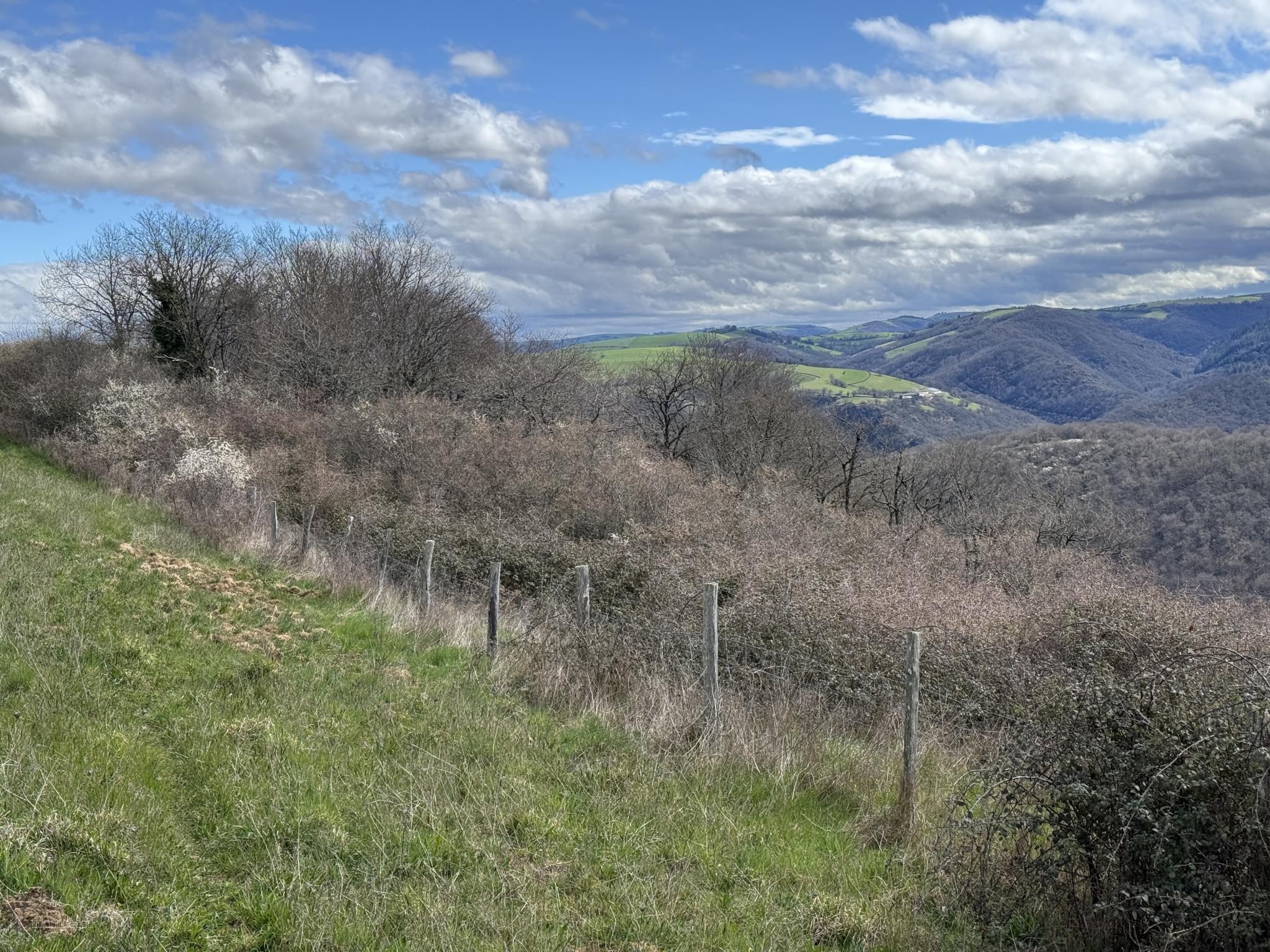 terrain Ambialet — photo 6