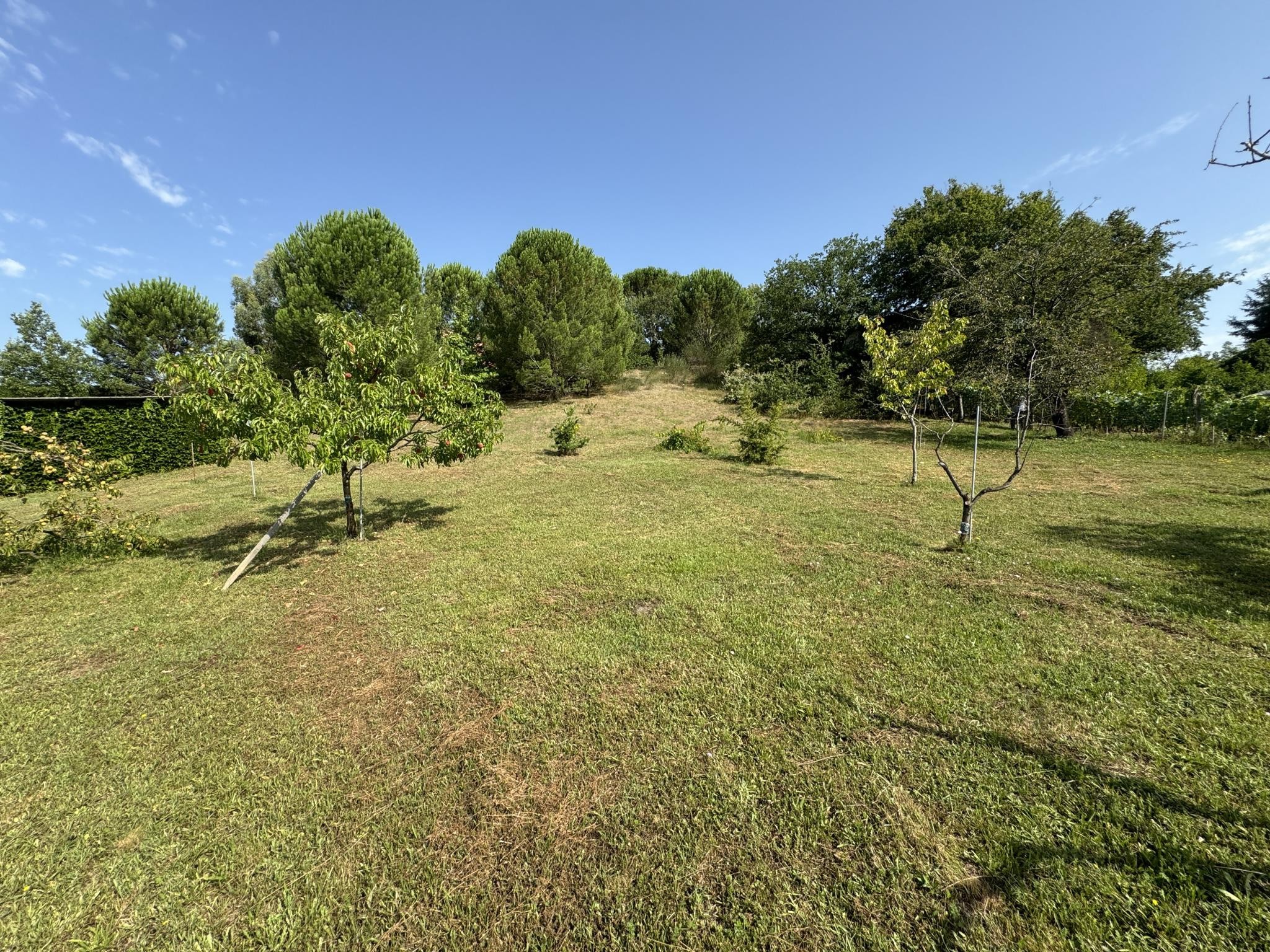 terrain Arthes — photo 4
