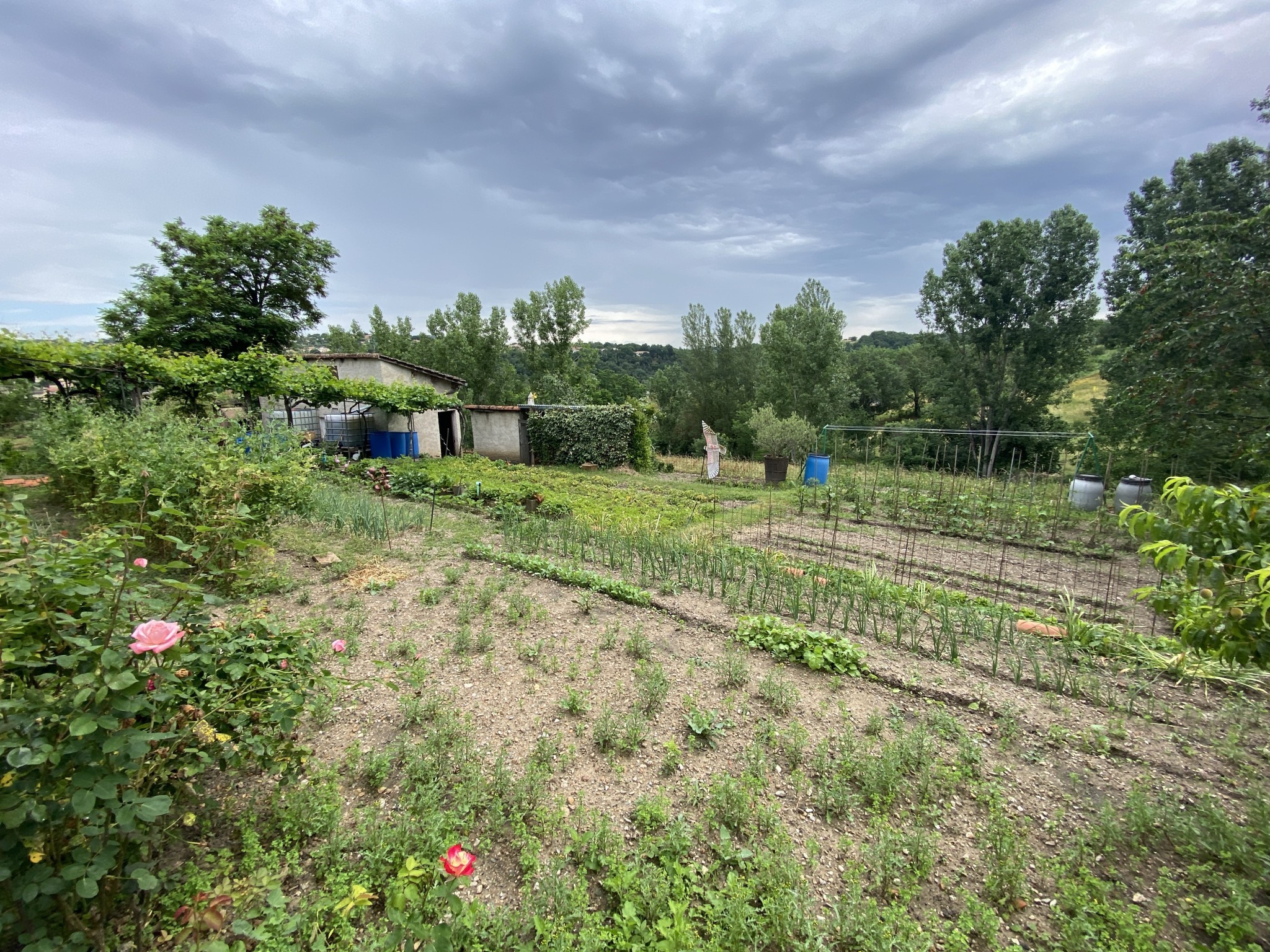maison St juery — photo 8