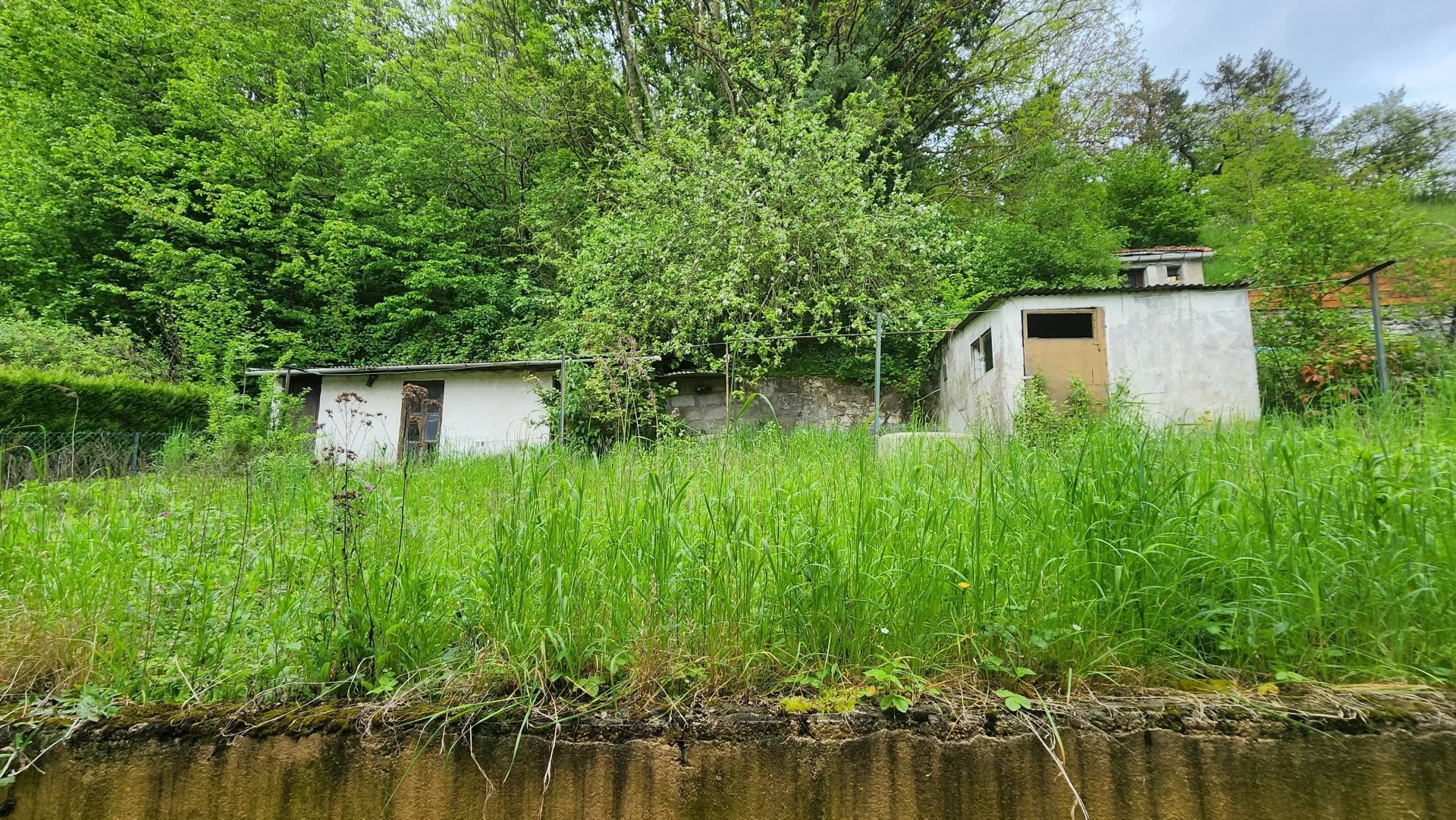MAISON PLAIN PIED, SURELEVEE PROCHE FRONTIERES — photo 20