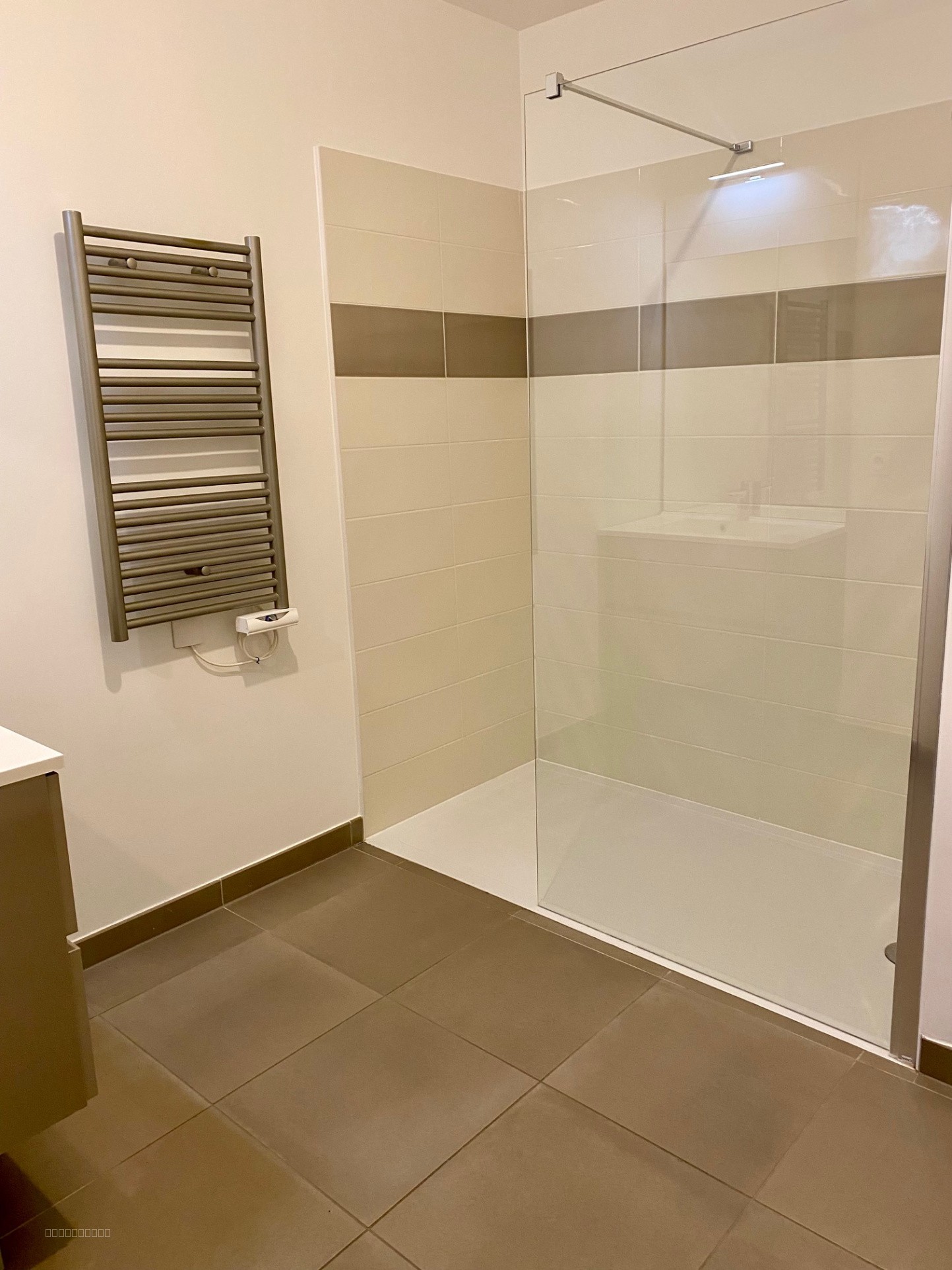 Appartement en RDC de 3 pièces 169 Avenue du Général de Gaulle 94170 LE PERREUX SUR MARNE — photo 4