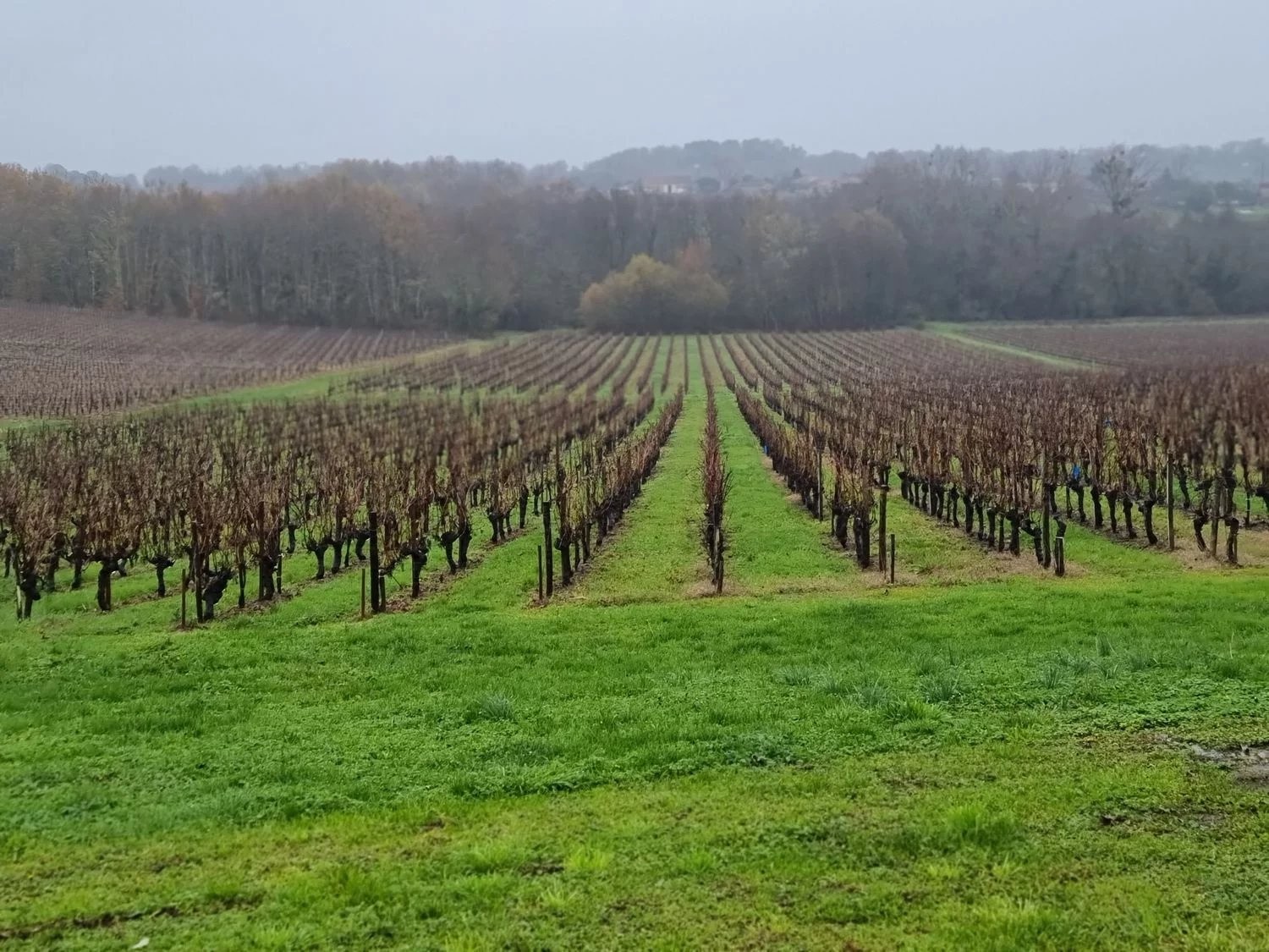 Château viticole du XIXème en appellation Côtes de Bourg - Réf 1166 — photo 1