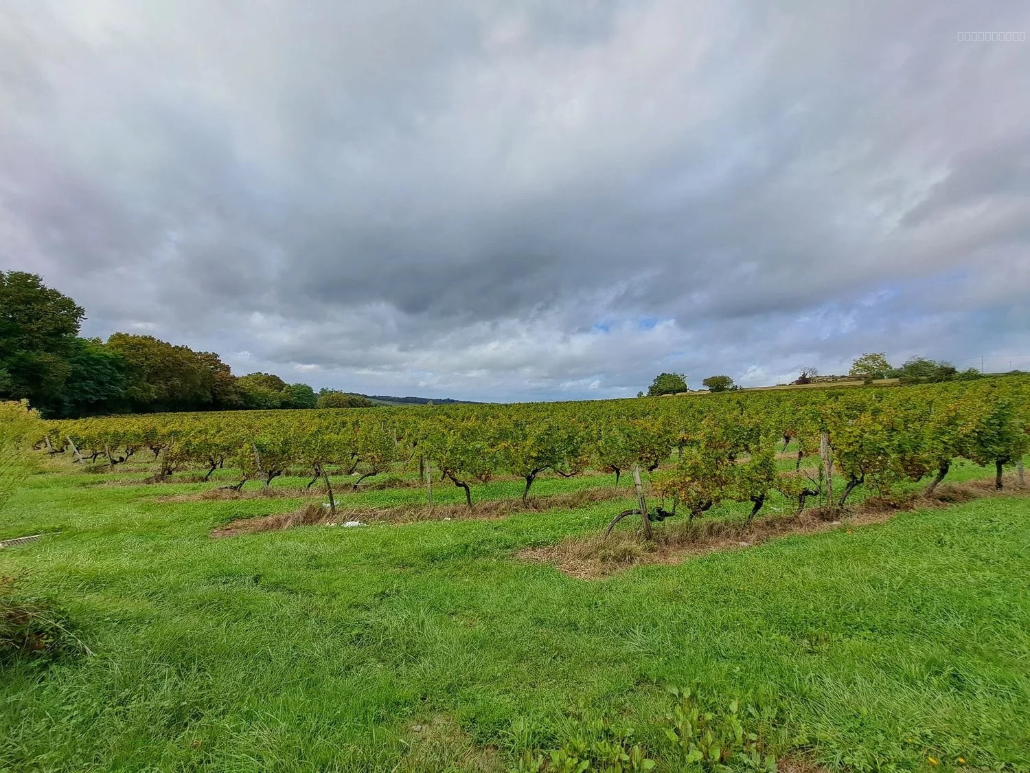 Terrain à vendre à St macaire, 779 m² – photo 3 sur 3