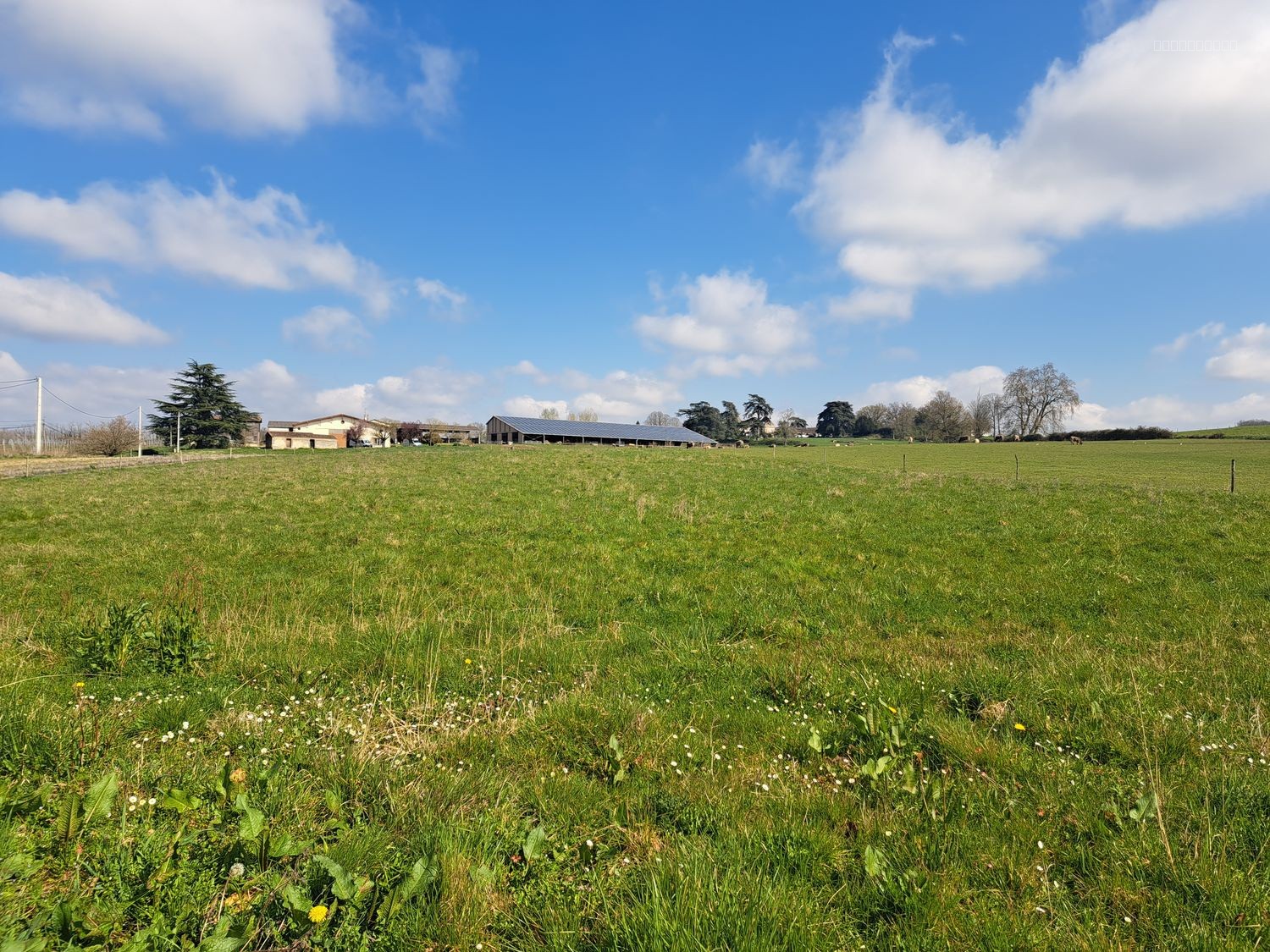 Maison à vendre à Casseuil, 48 m², 8 pièces – photo 3 sur 16
