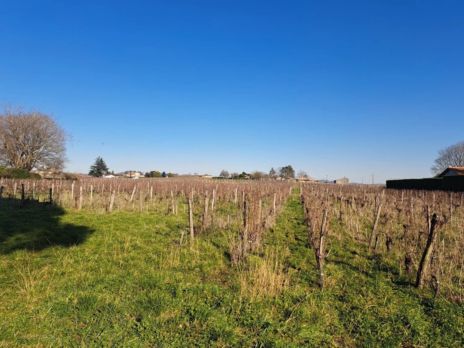 Bien immobilier à vendre à St emilion, 59 m² – photo 2 sur 6
