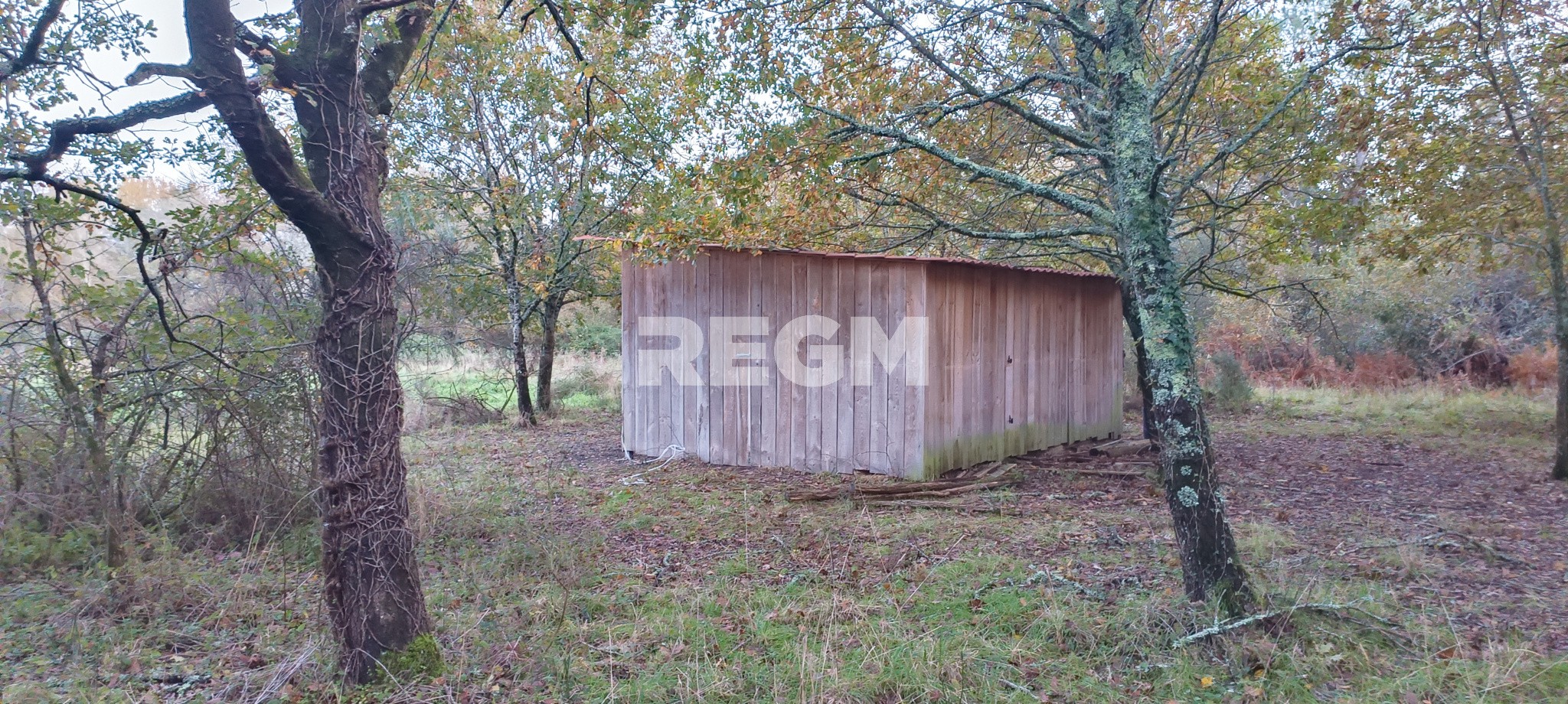 Terrain à vendre à Queyrac, 123 886 m² – photo 3 sur 6