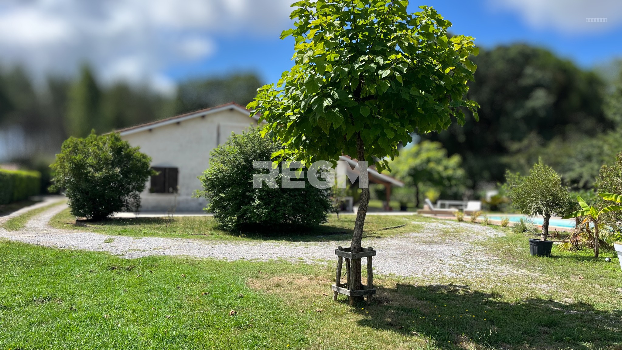 Maison Landaise Proche de Mimizan et de ses plages — photo 5