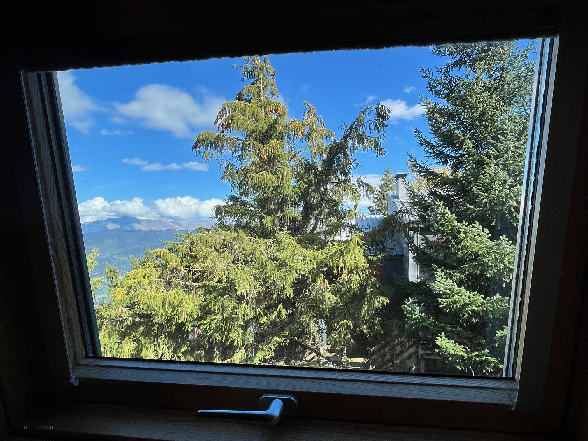 SAINT LARY 1700 - LE REFUGE BOISE - T3 DUPLEX — photo 8
