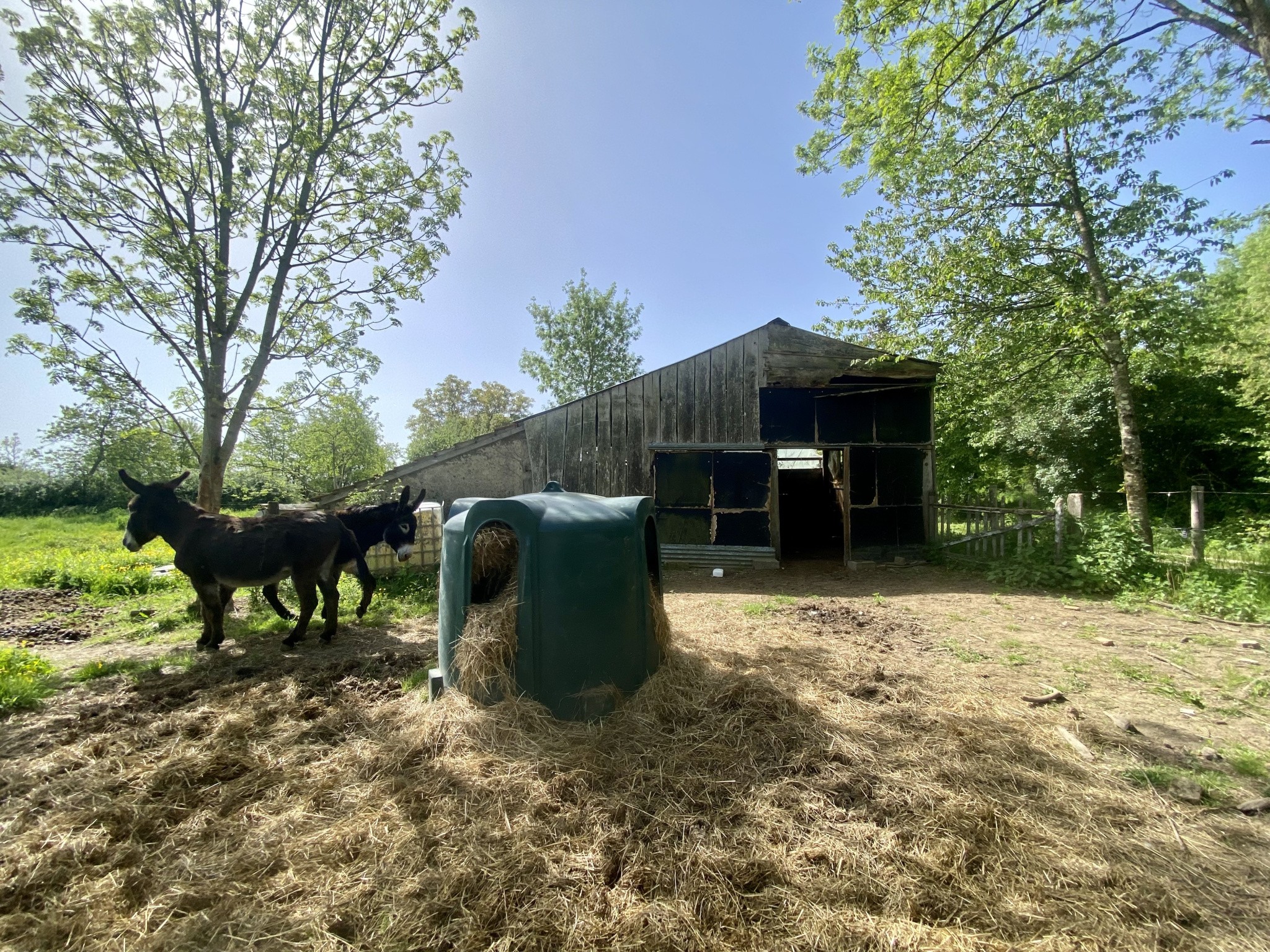 Maison à vendre à Gannay sur loire, 65 m², 4 pièces – photo 3 sur 11