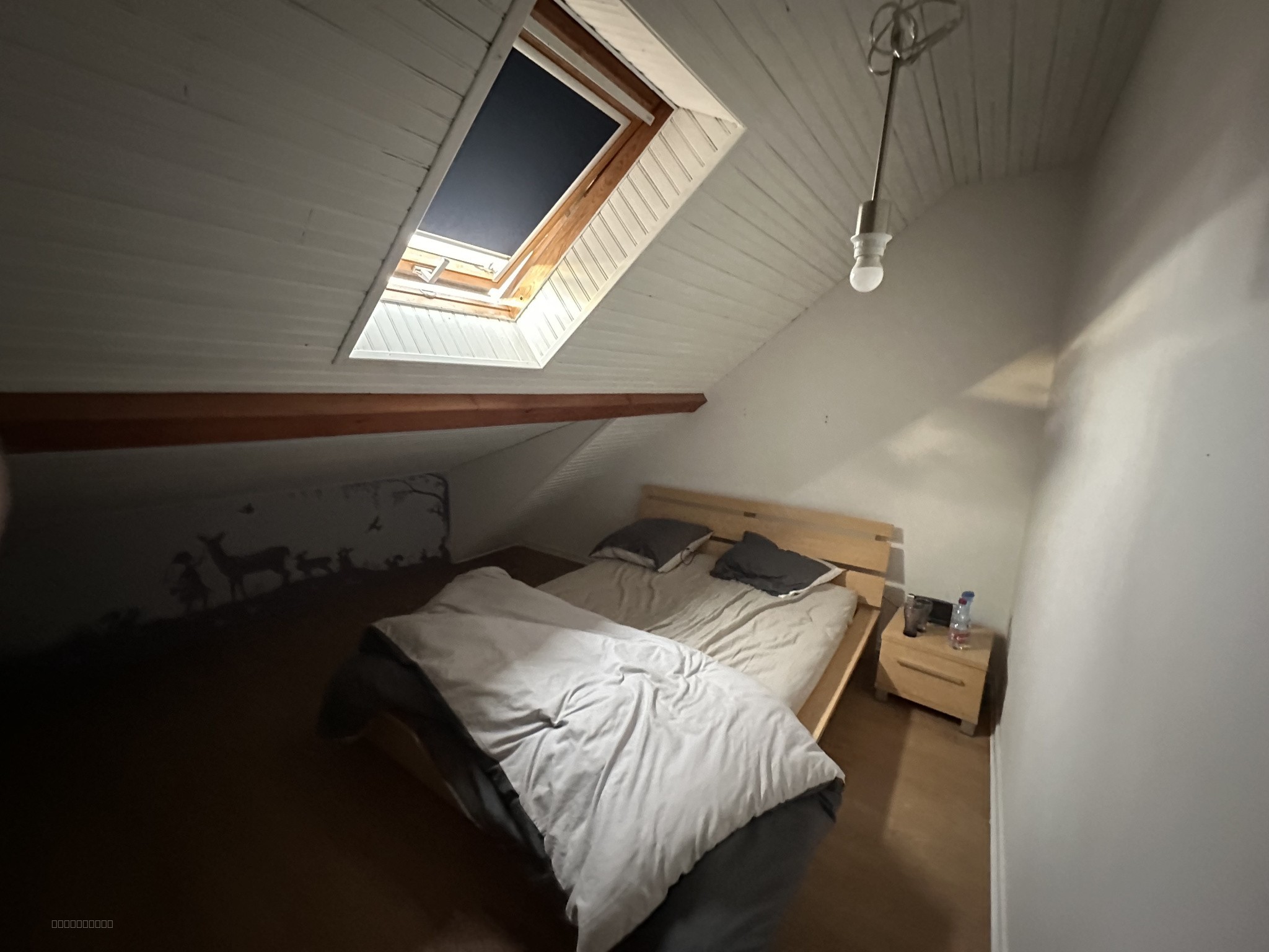 Appartement duplex — photo 4