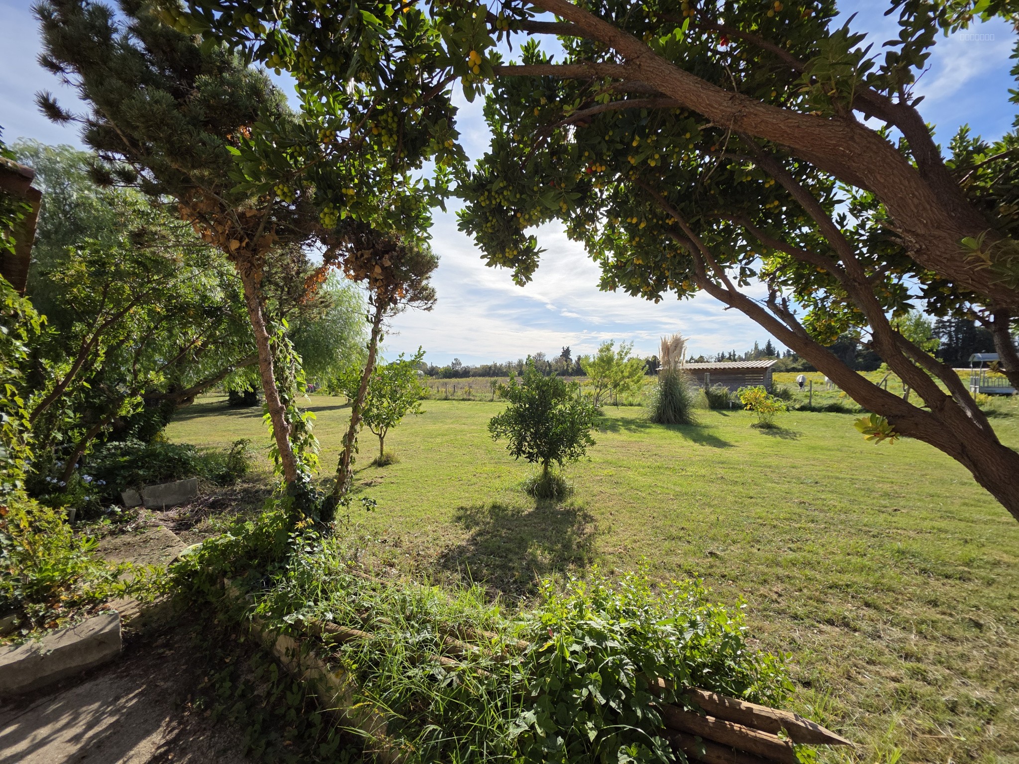 Maison à vendre à Beaucaire, 286 m², 7 pièces – photo 3 sur 13