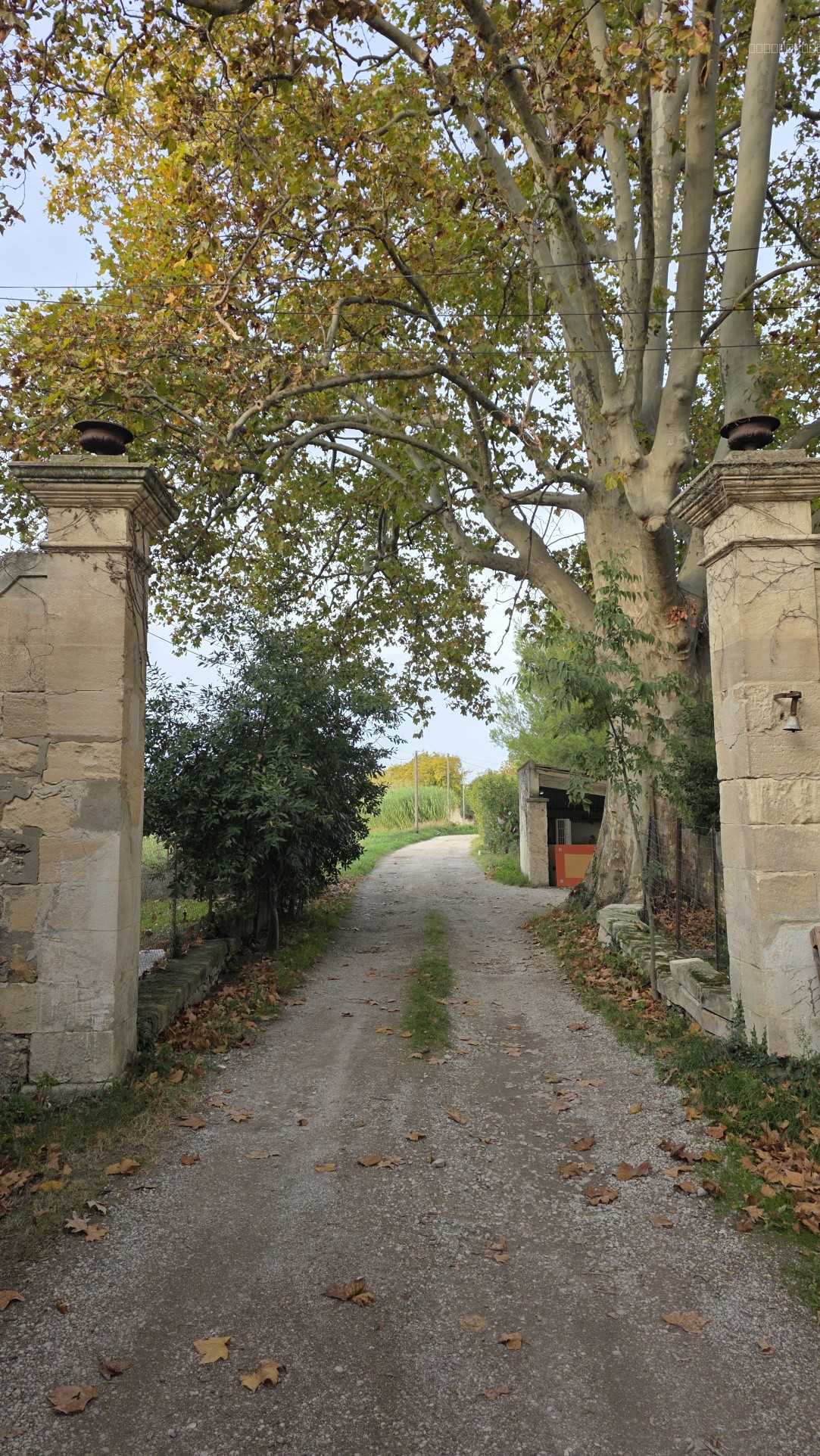 Maison à vendre à Arles, 190 m², 5 pièces – photo 3 sur 10