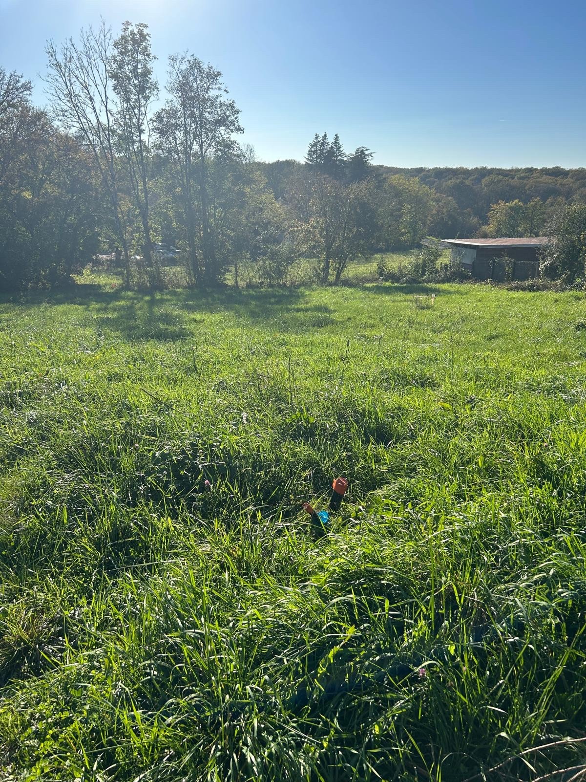 Terrain à vendre à Besancon, 700 m² – photo 2 sur 2