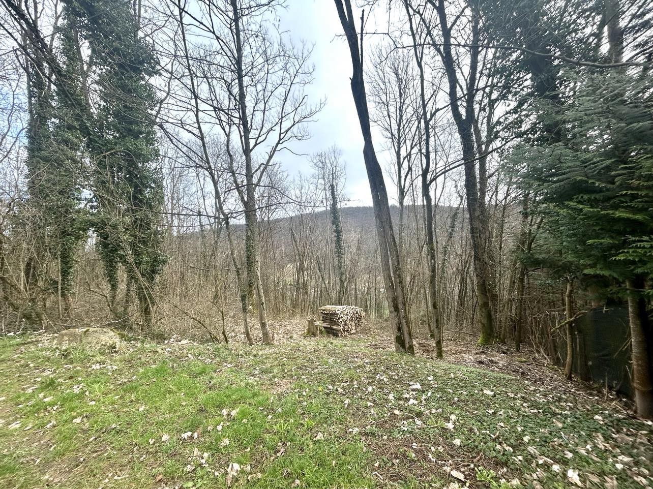 Bien immobilier à vendre à Chalezeule, 3 000 m² – photo 1 sur 1