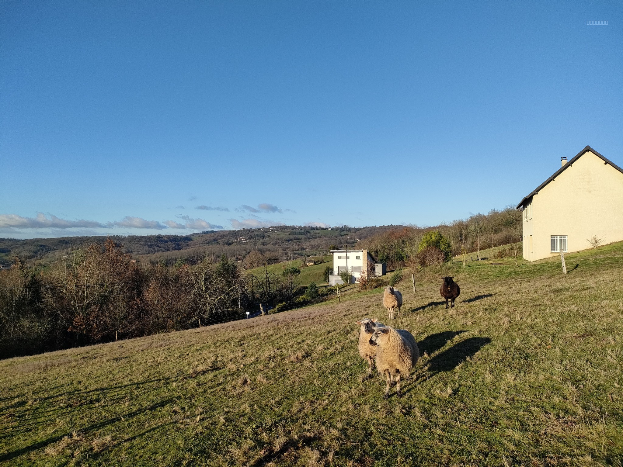 TERRAIN A JUILLAC — photo 3