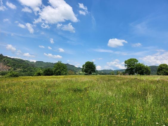 Terrain à vendre à Aubazine, 2 000 m² – photo 3 sur 4
