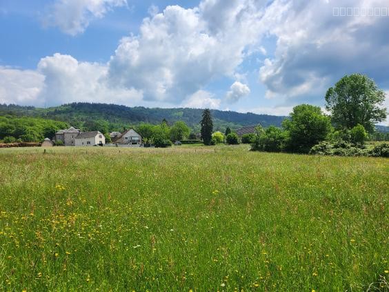 Terrain à vendre à Aubazine, 2 000 m² – photo 1 sur 4