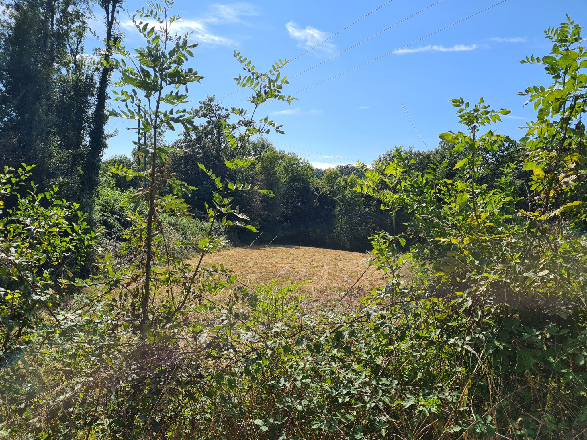 Terrain à vendre à Saillac, 4 480 m² – photo 3 sur 3