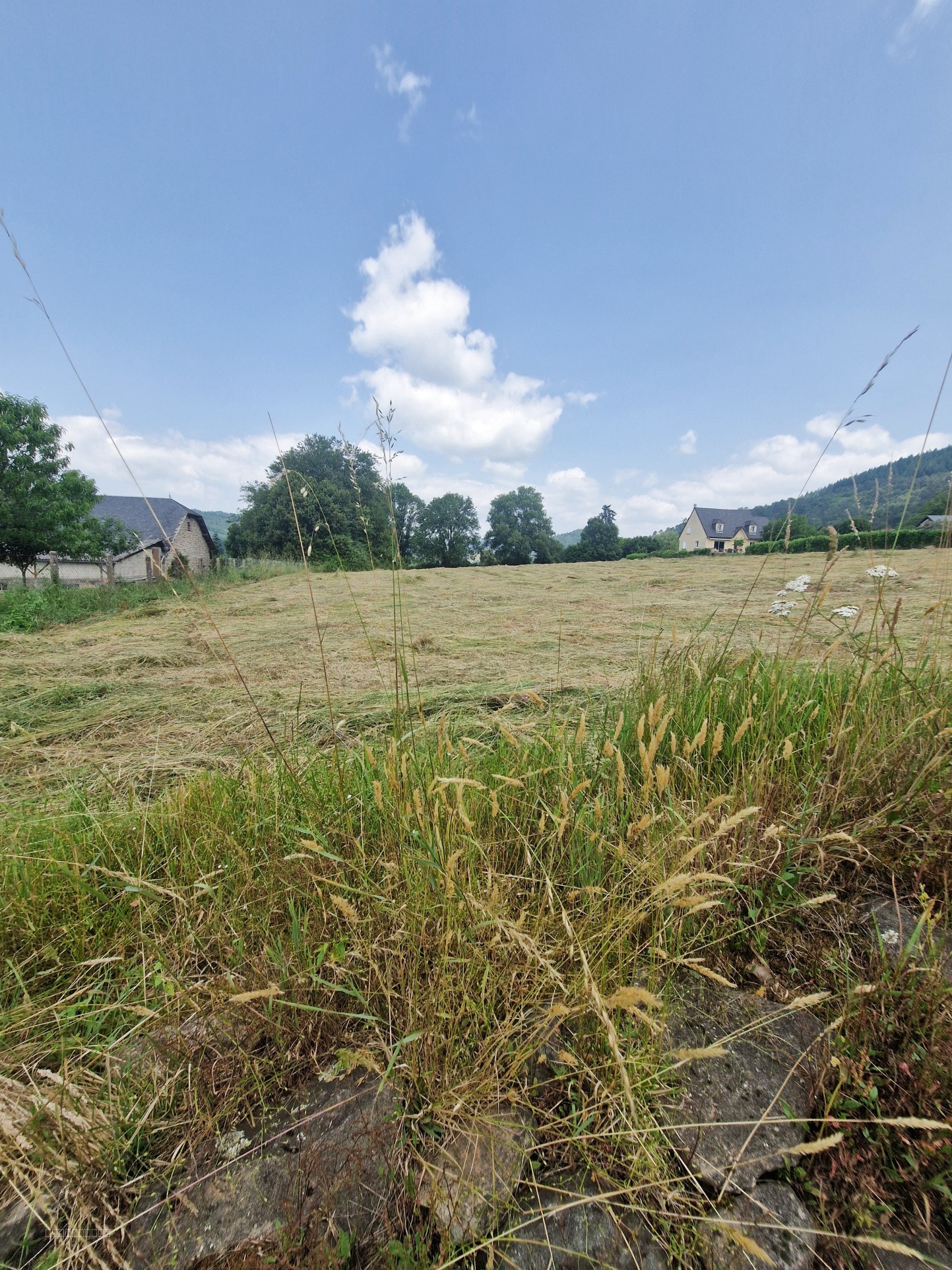 Terrain à vendre à Aubazines, 3 436 m² – photo 2 sur 2