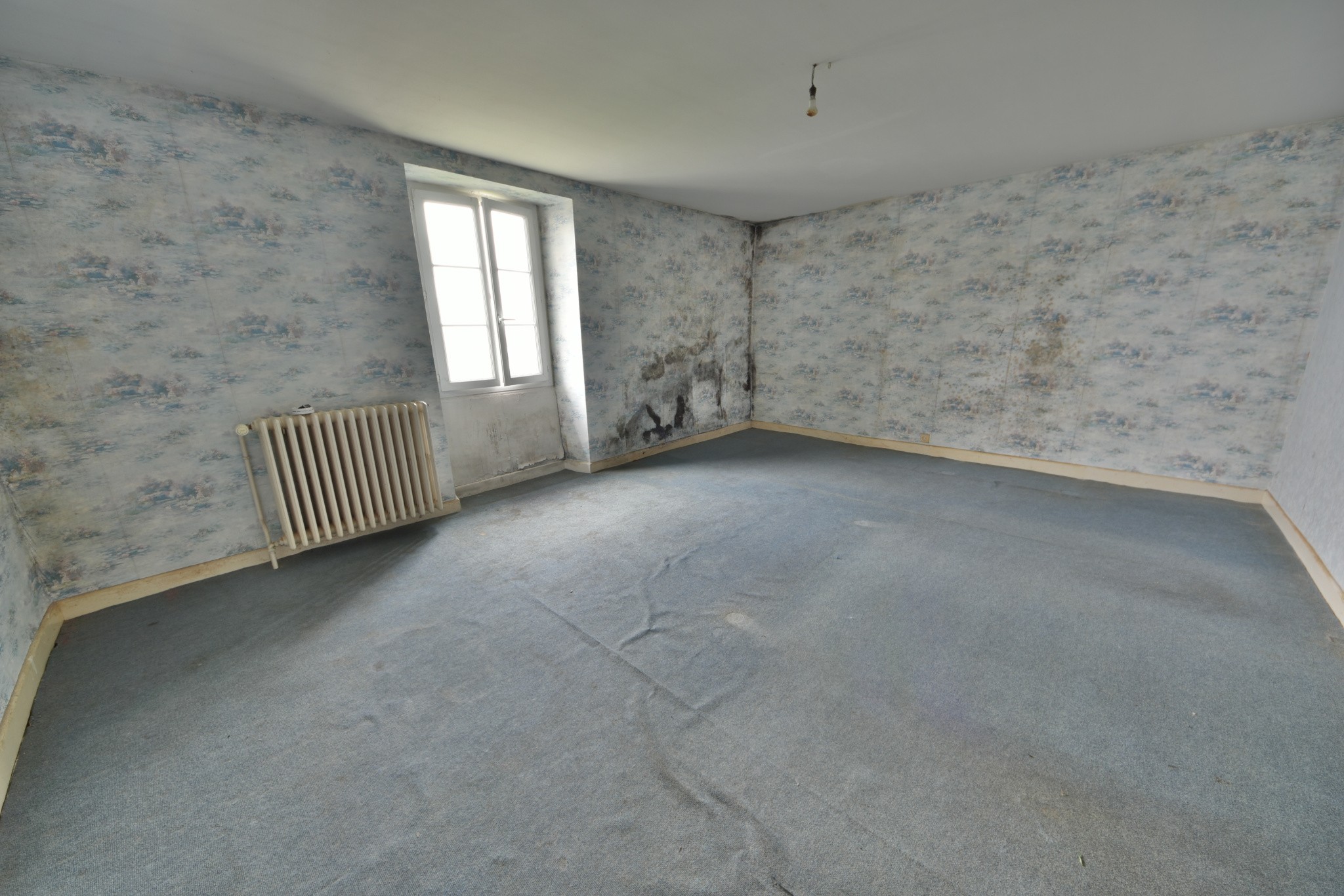 IMMEUBLE CENTRE BOURG JUILLAC — photo 11