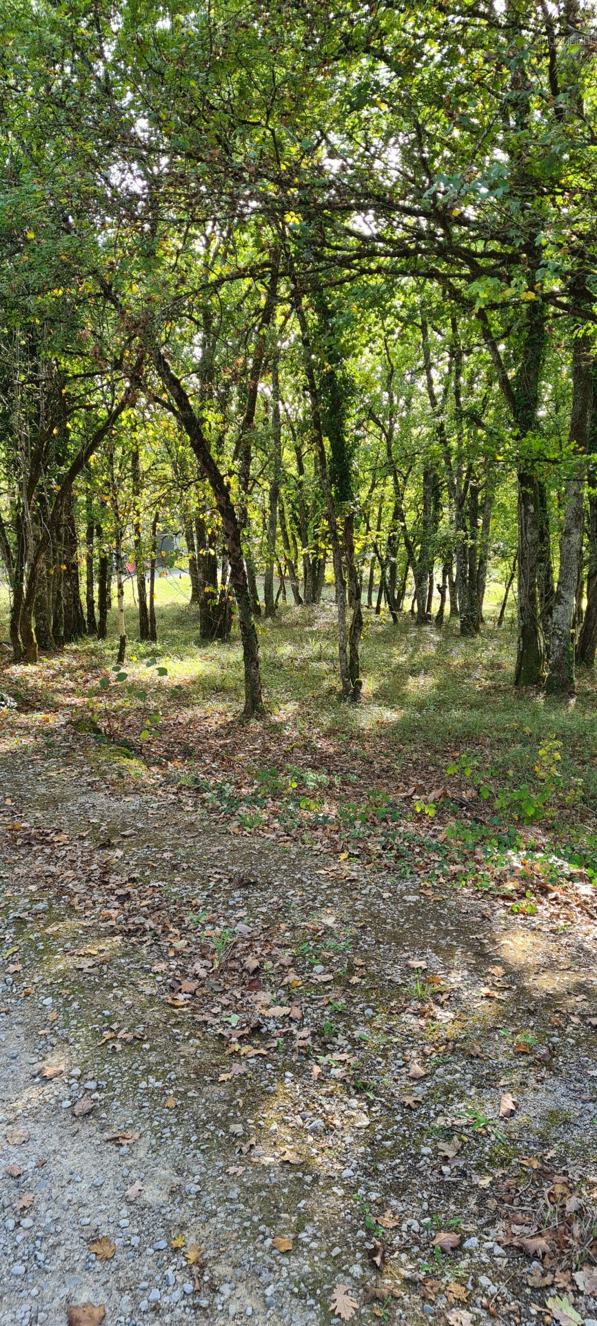 Terrain à vendre à Chartrier ferriere, 1 346 m² – photo 1 sur 1