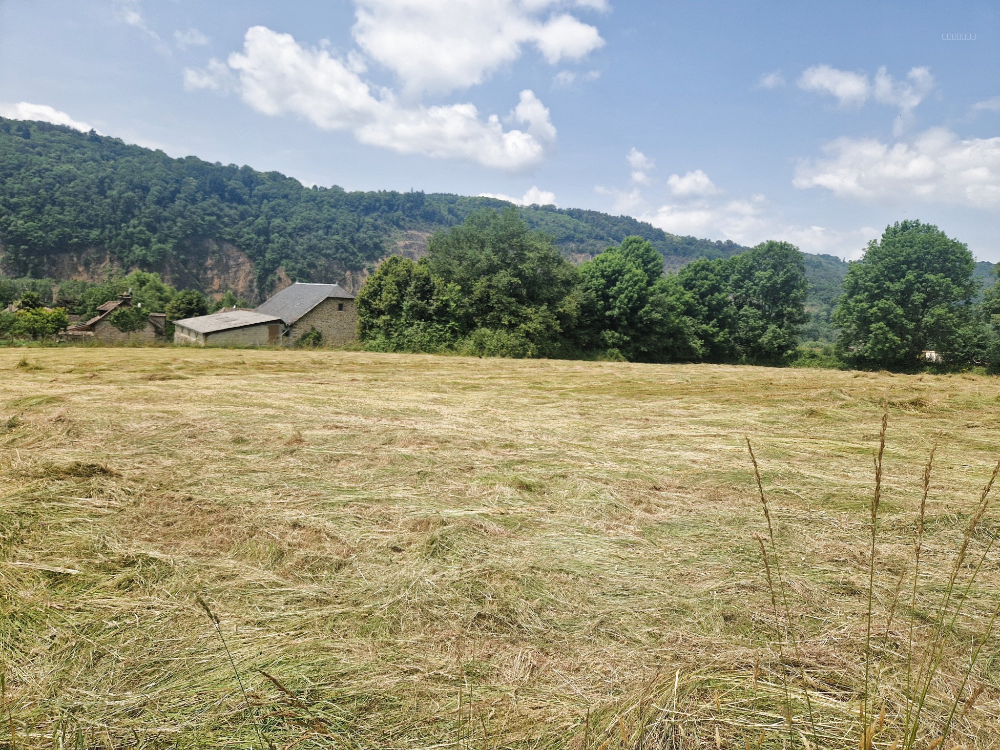 Terrain à vendre à Aubazines, 3 436 m² – photo 1 sur 2