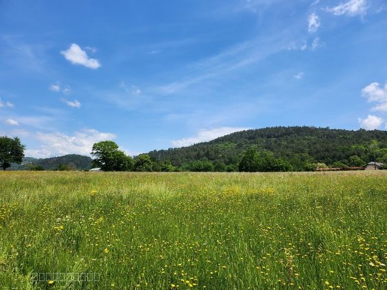 Terrain à vendre à Aubazine, 2 000 m² – photo 2 sur 4