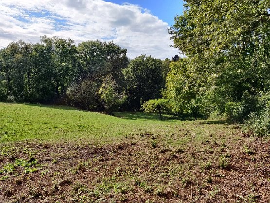 Terrain à vendre à Saillac, 4 480 m² – photo 1 sur 3