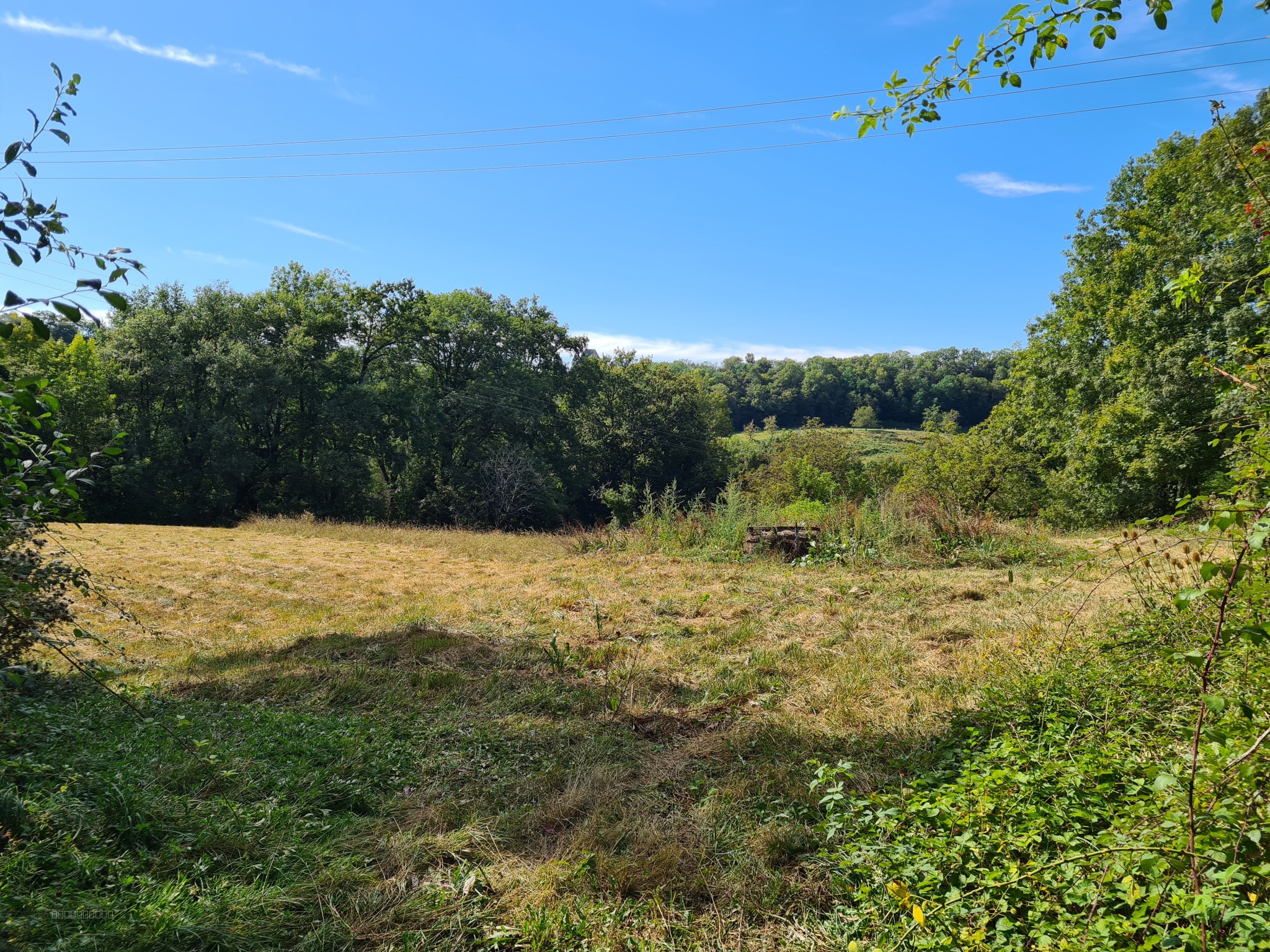 Terrain à vendre à Saillac, 4 480 m² – photo 2 sur 3