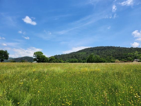 Terrain à vendre à Aubazine, 2 000 m² – photo 3 sur 4