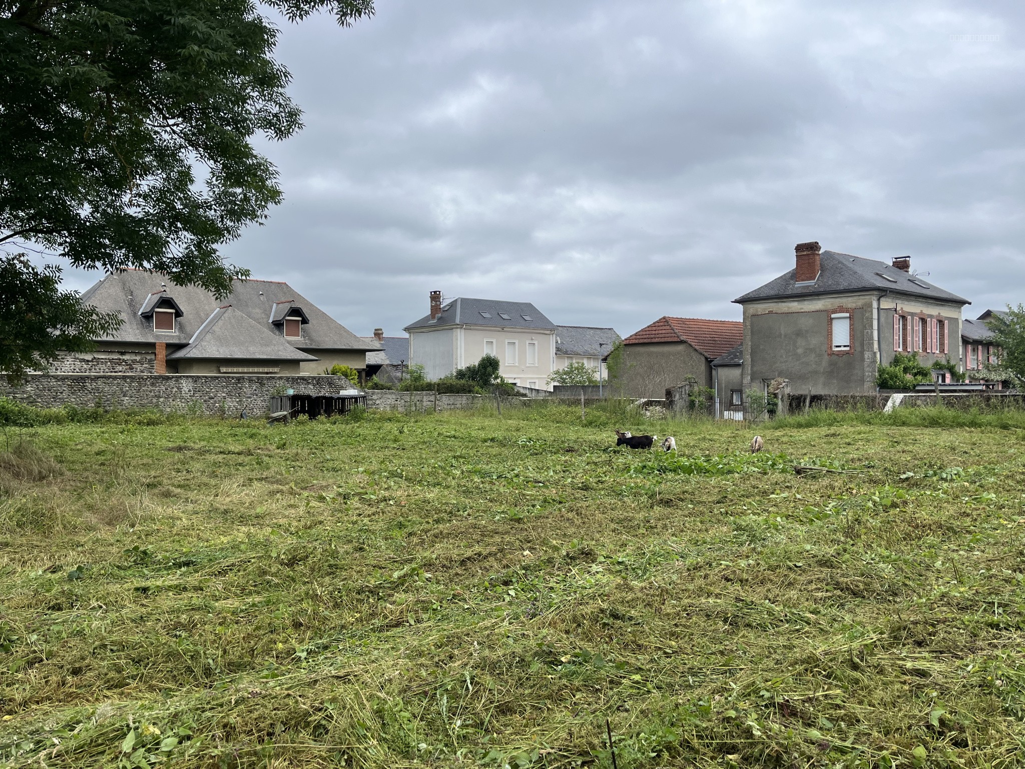 terrain a bâtir — photo 1