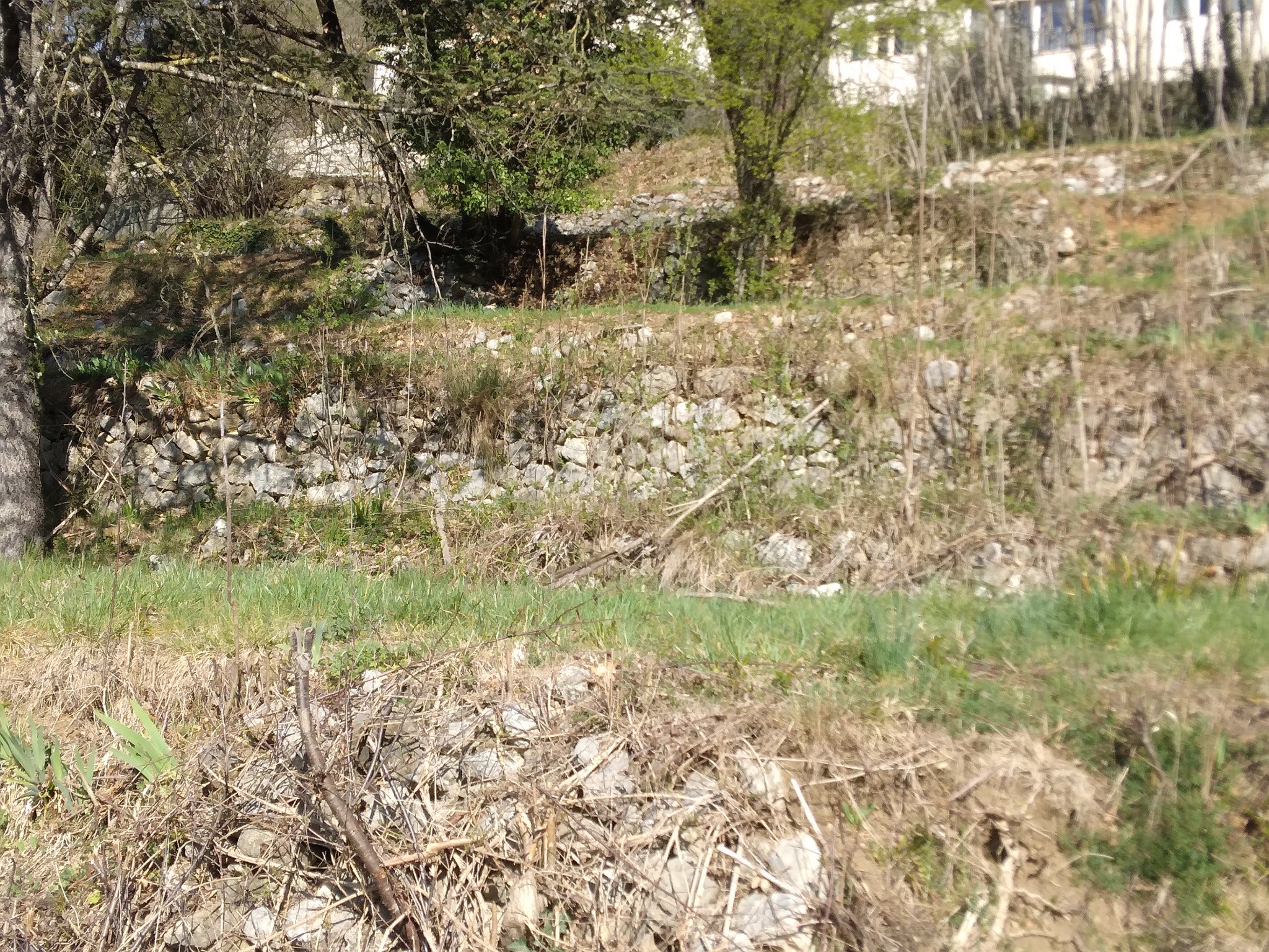 terrain Roquesteron — photo 2