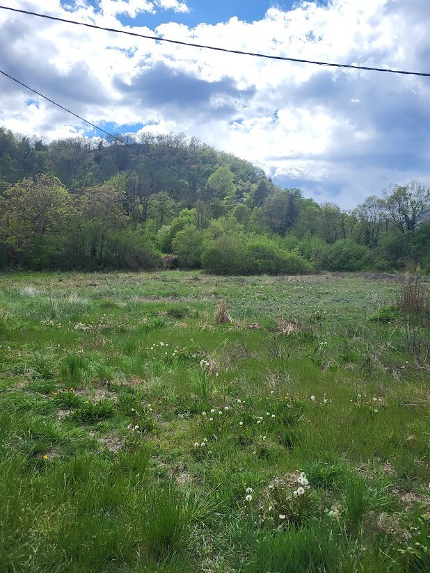 Terrain à vendre à Entrevaux, 5 255 m² – photo 1 sur 3