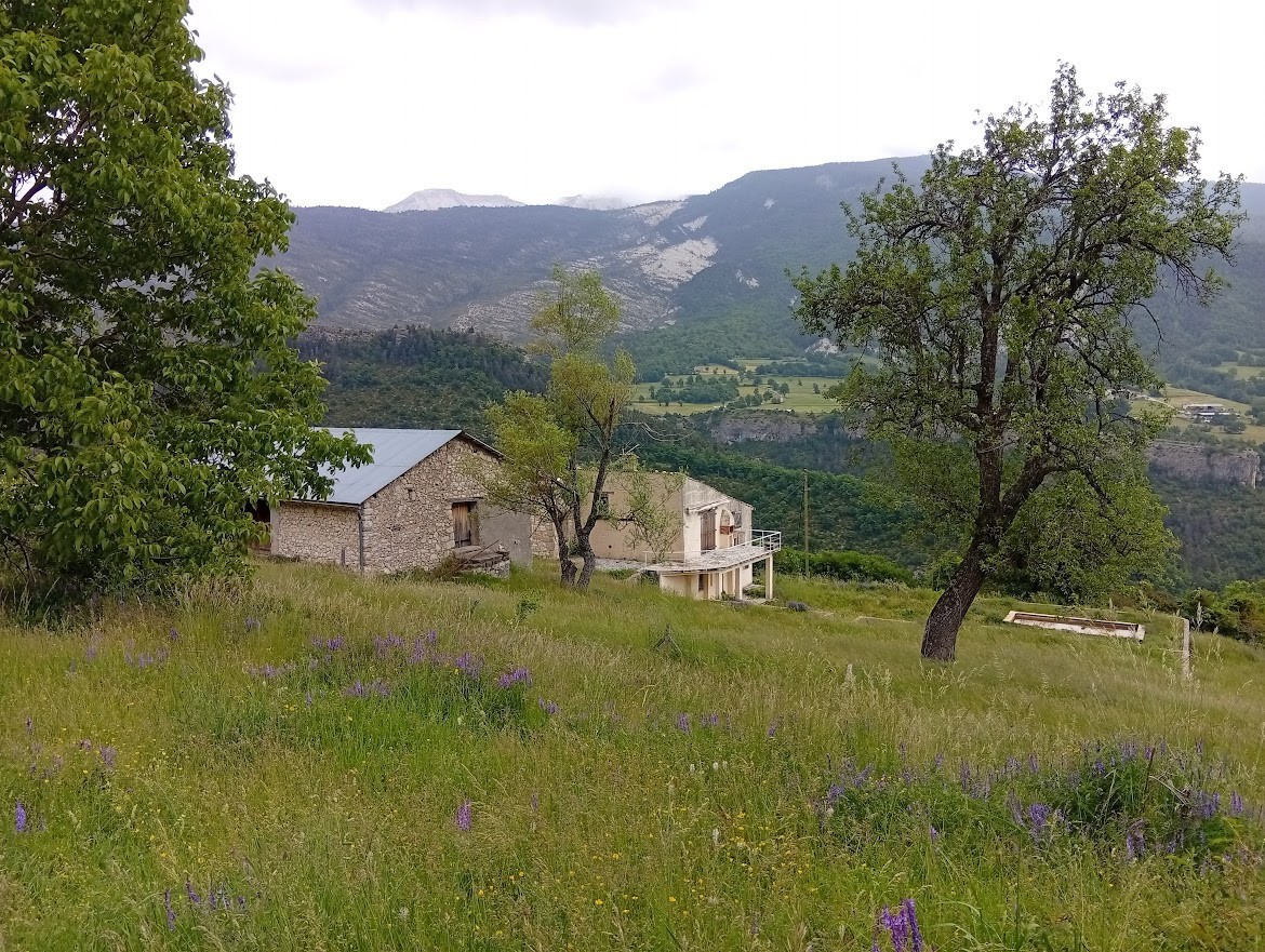 Bien immobilier à vendre à Annot, 580 m² – photo 1 sur 9