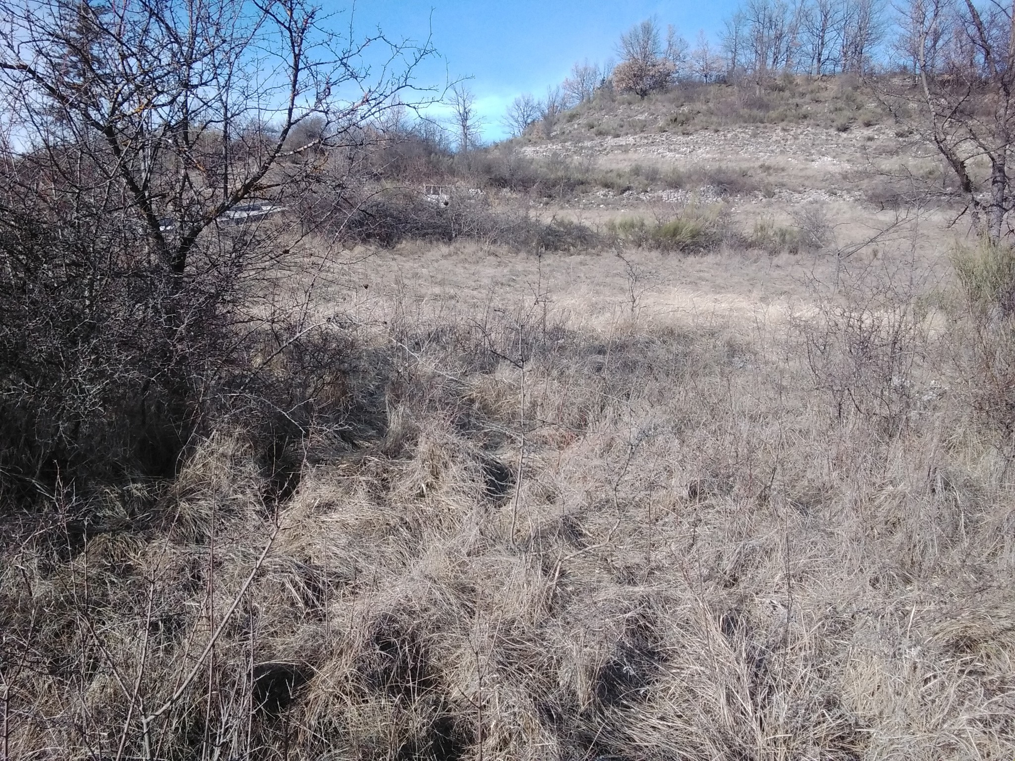 Terrain à vendre à Annot, 666 m² – photo 2 sur 2