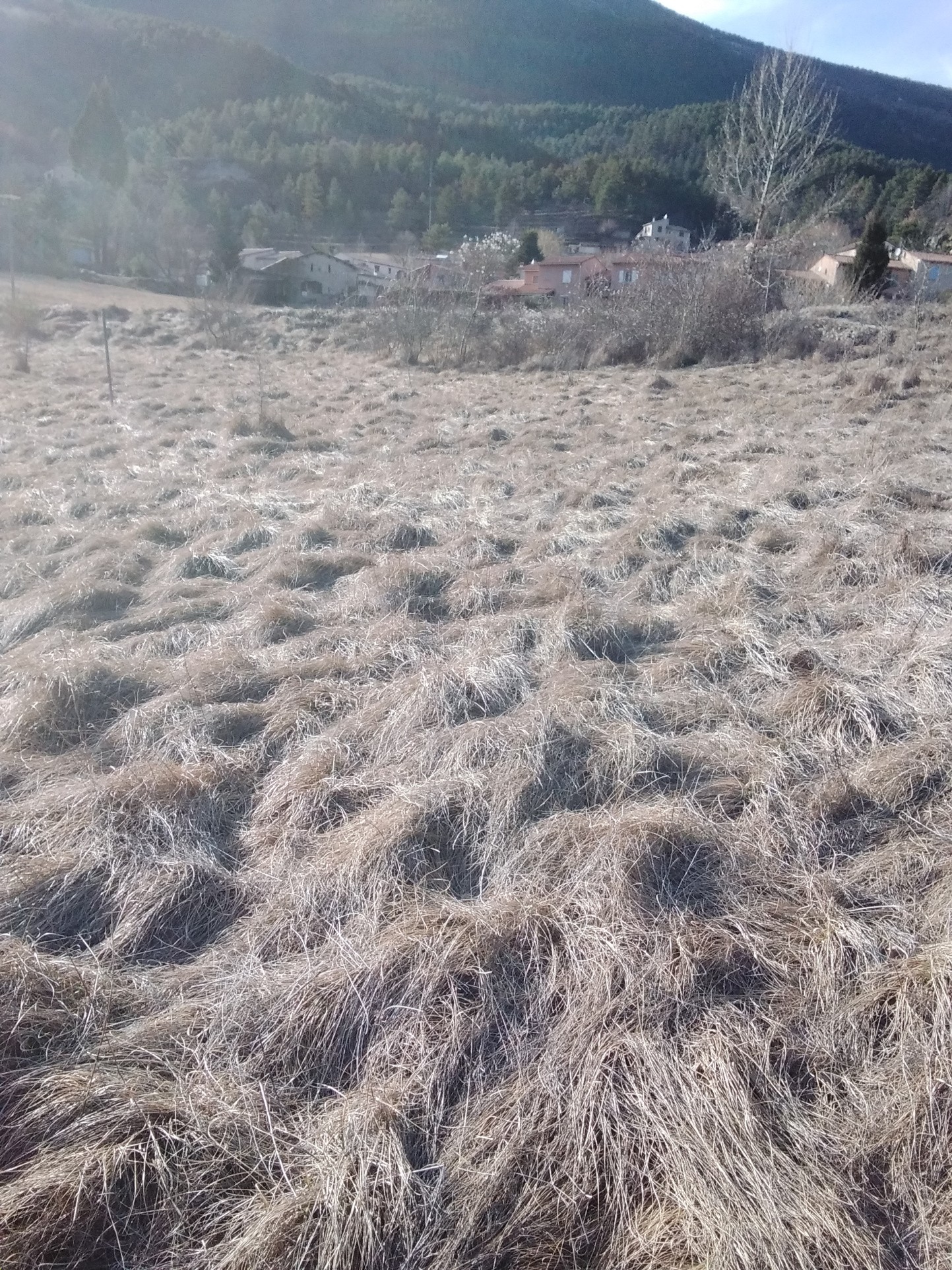 Terrain à vendre à Annot, 648 m² – photo 1 sur 2
