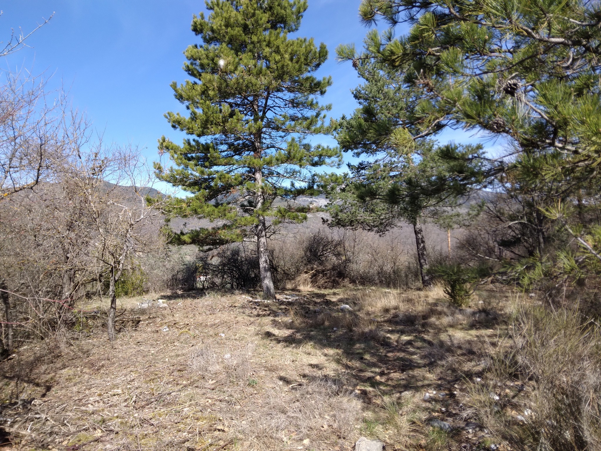 Terrain à vendre à Castellane, 3 559 m² – photo 3 sur 5