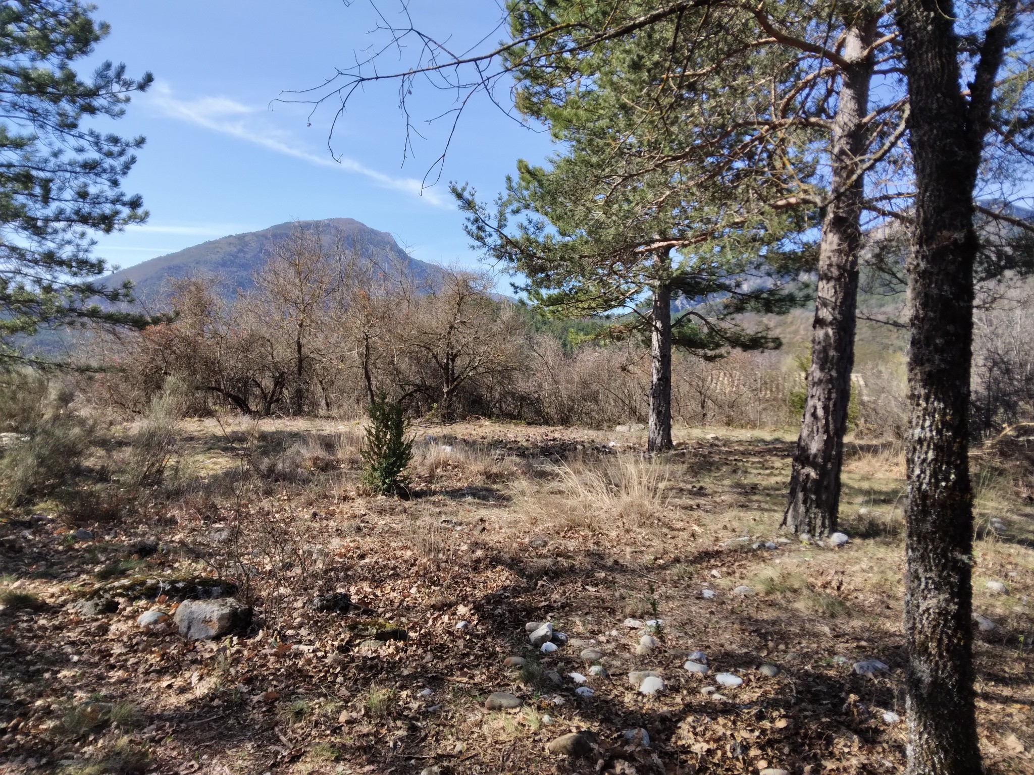 Terrain à vendre à Castellane, 3 559 m² – photo 1 sur 5