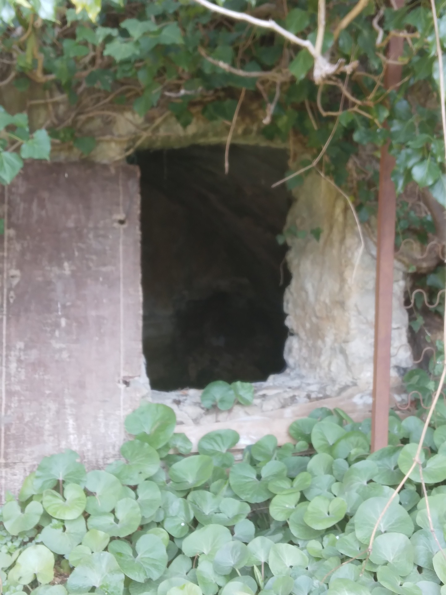 terrain Roquesteron — photo 3