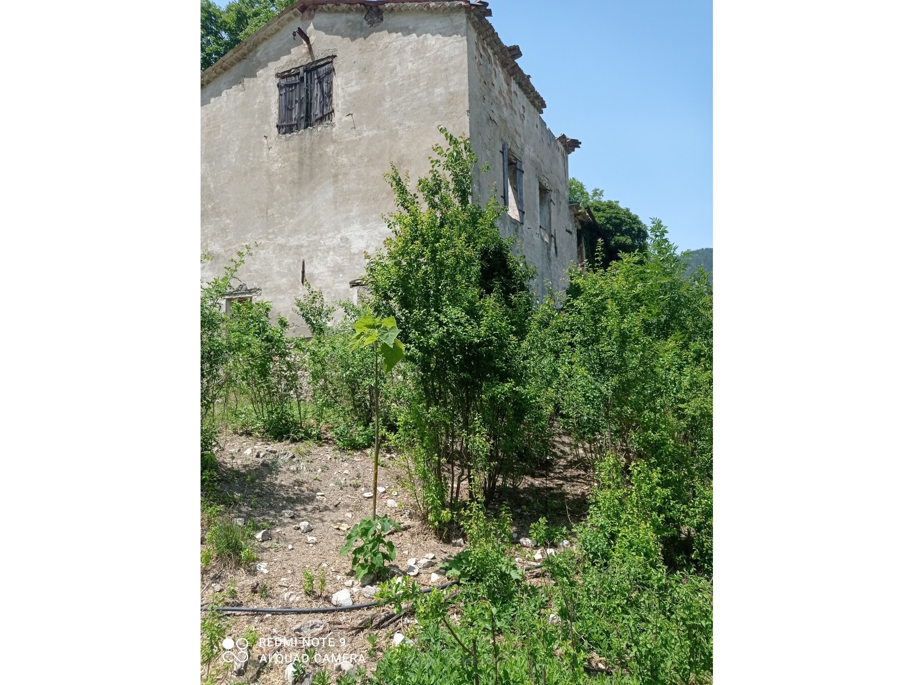 Bien immobilier à vendre à Entrevaux, 250 m², 4 pièces – photo 1 sur 2