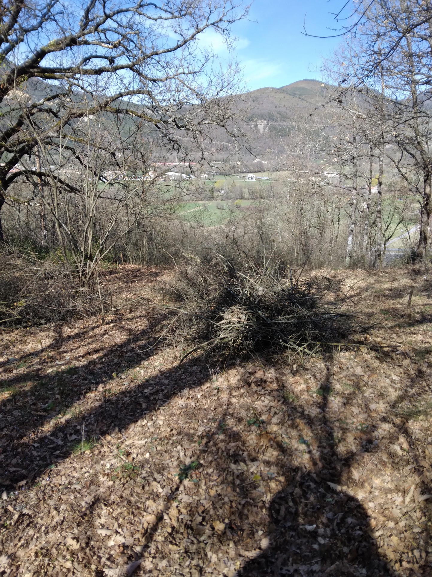 Terrain à vendre à Castellane, 3 559 m² – photo 2 sur 5