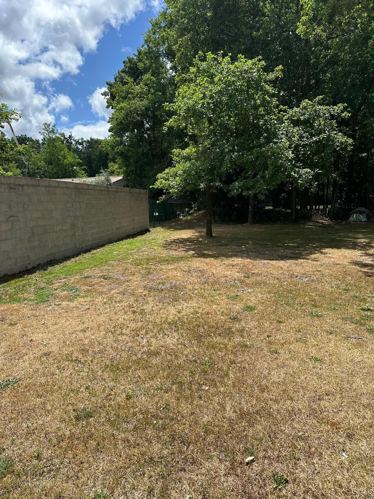 Bien immobilier à vendre à Avensan, 1 000 m² – photo 2 sur 5