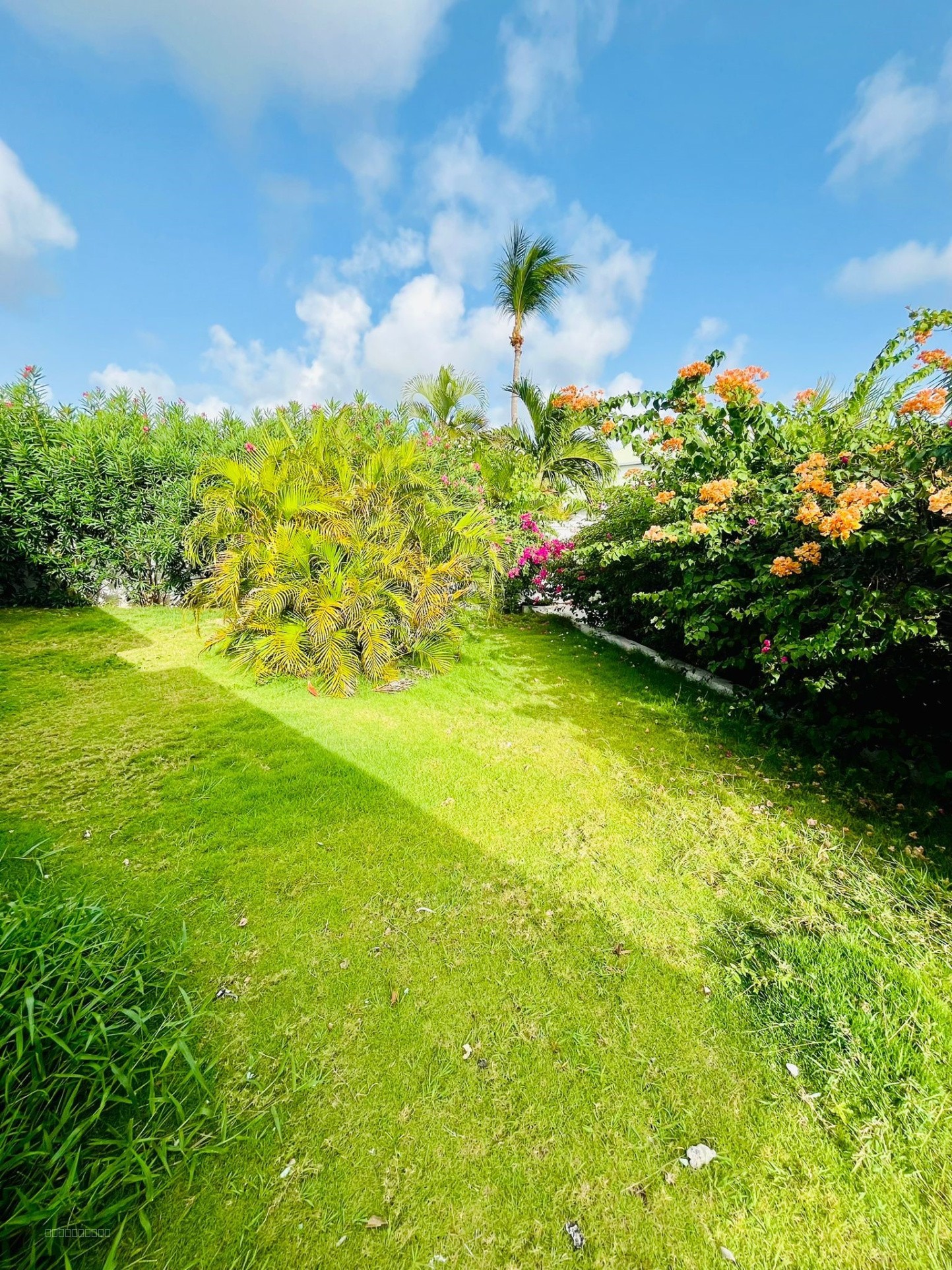 Villa à vendre à St martin, 150 m², 5 pièces – photo 2 sur 16