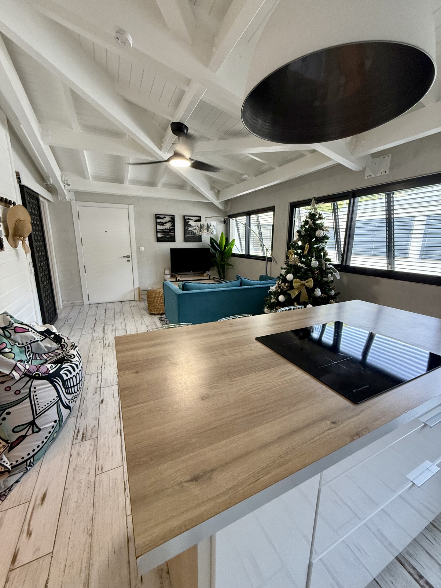 APPARTEMENT 2 CHAMBRES - ANSE MARCEL — photo 5
