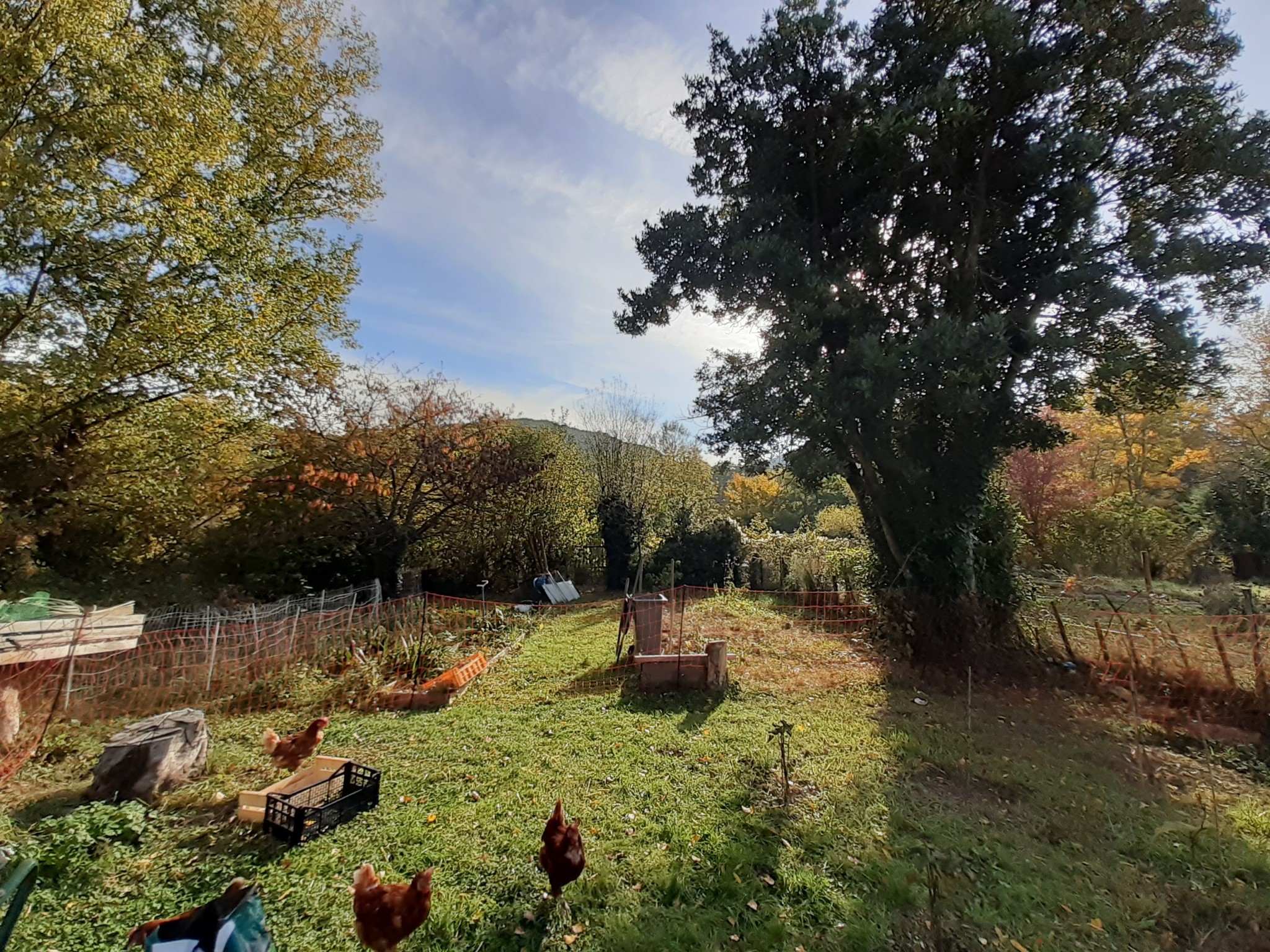 Maison à vendre à Quillan, 52,8 m², 9 pièces – photo 3 sur 19