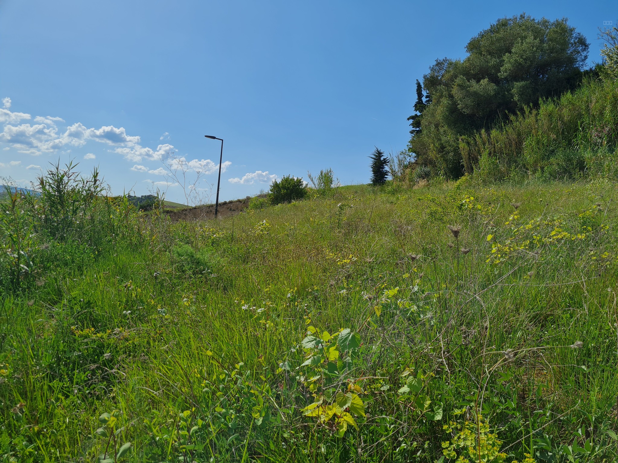 Terrain à vendre à Limoux, 740 m² – photo 1 sur 1