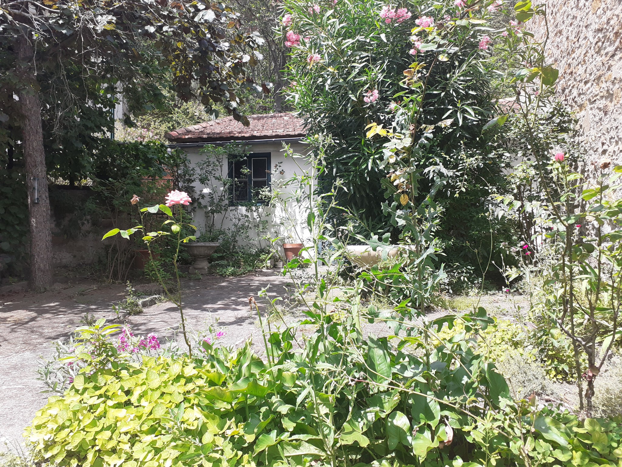 Villa à vendre à Limoux, 706 m², 5 pièces – photo 2 sur 20