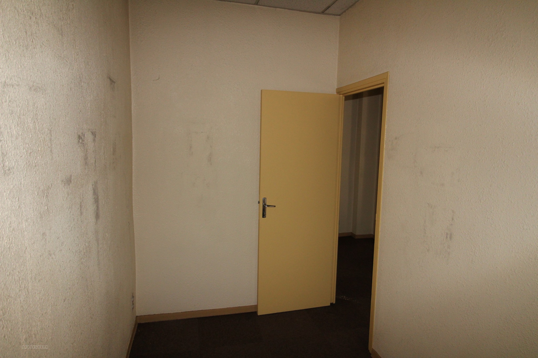 Local commercial à louer à Limoux, 40 m² – photo 2 sur 3