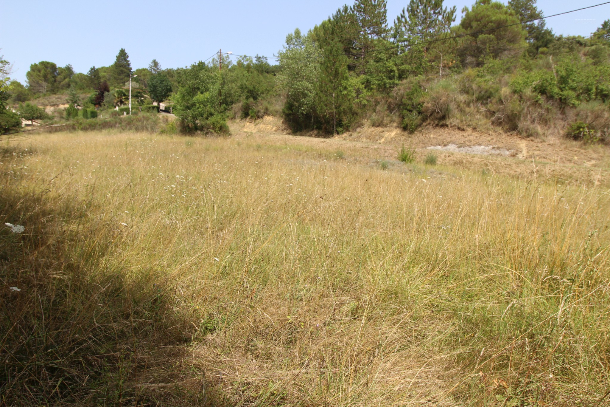 Terrain à vendre à St polycarpe, 2 041 m² – photo 1 sur 2